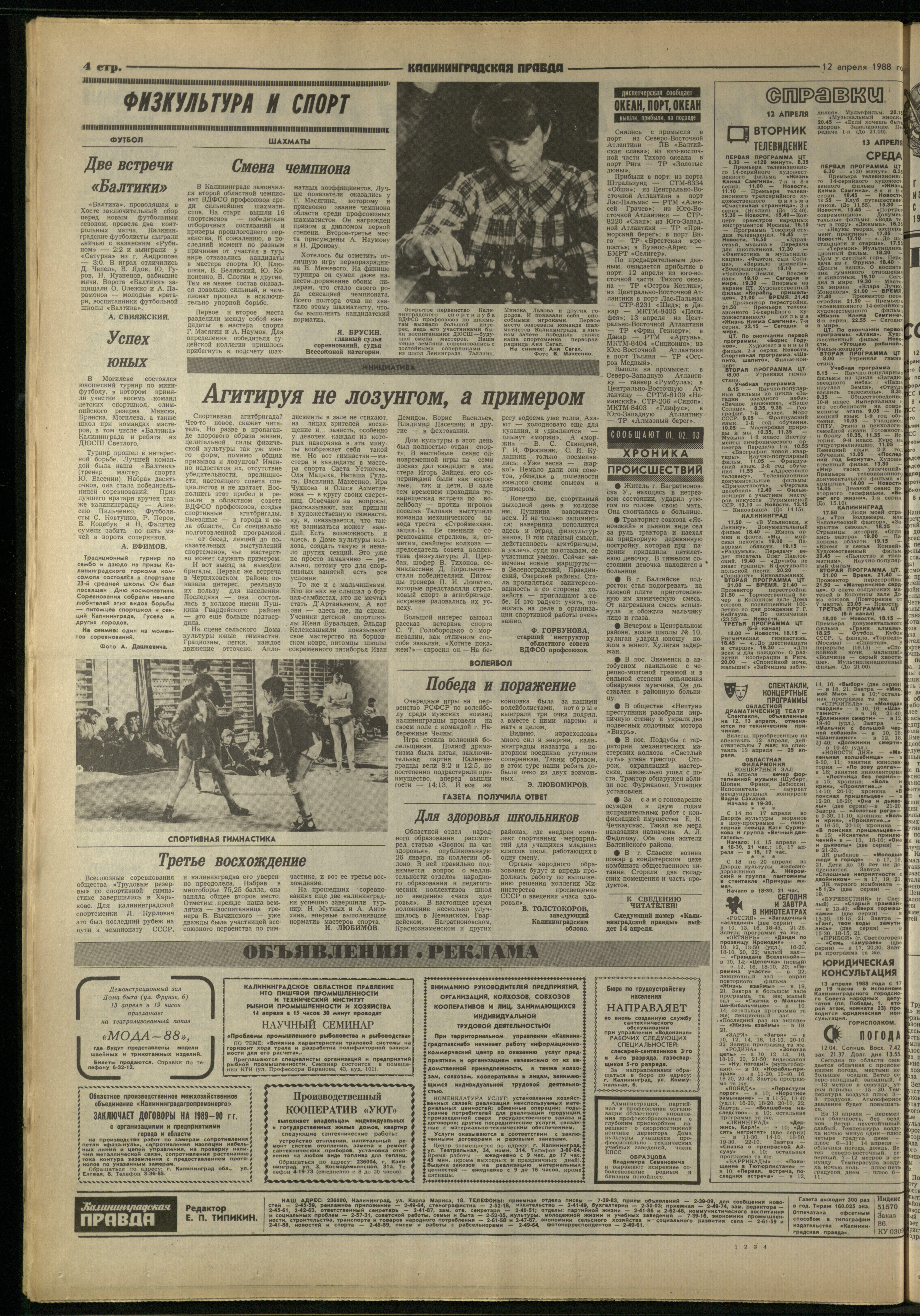 86-4-88-4jpg