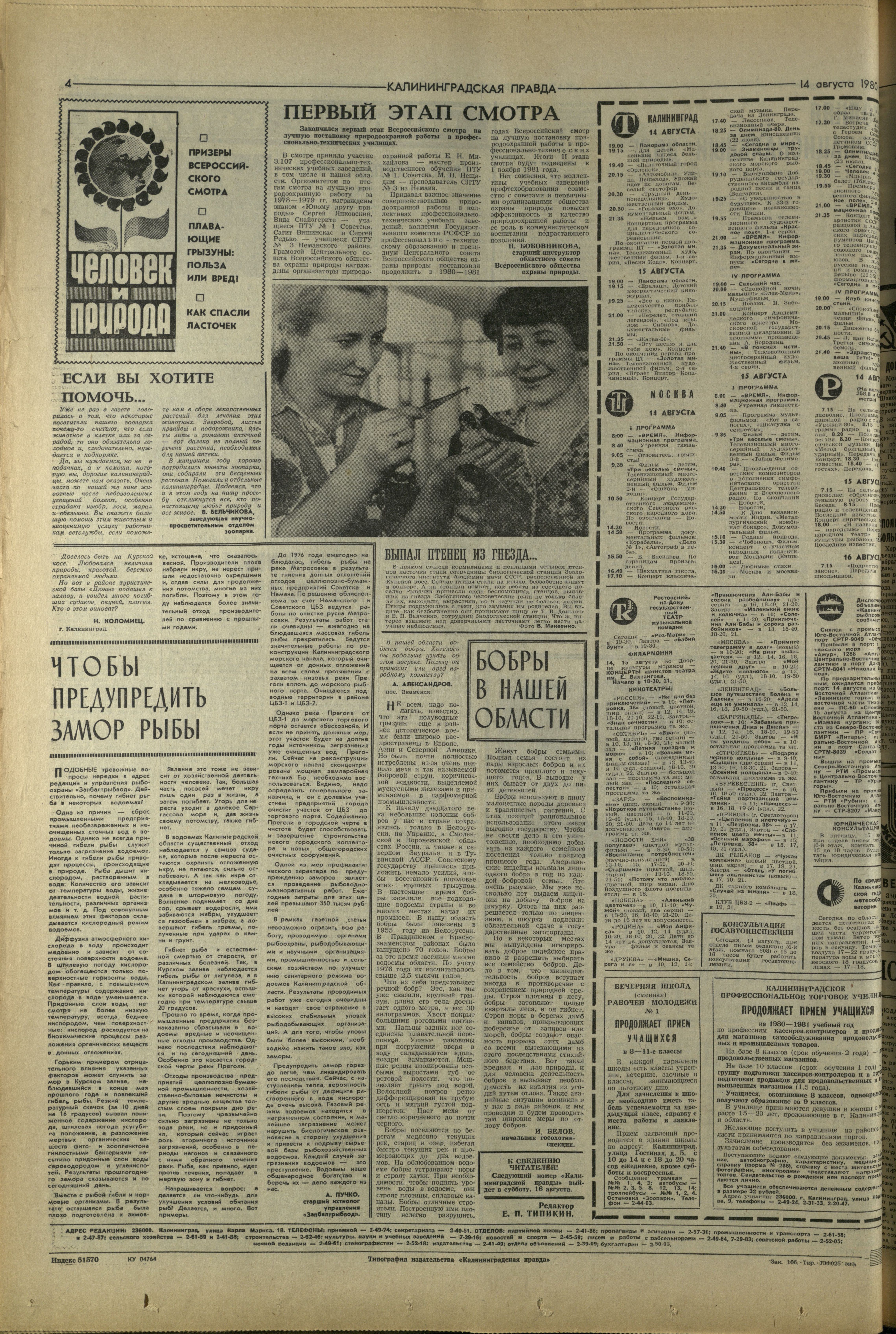 186-8-80-4