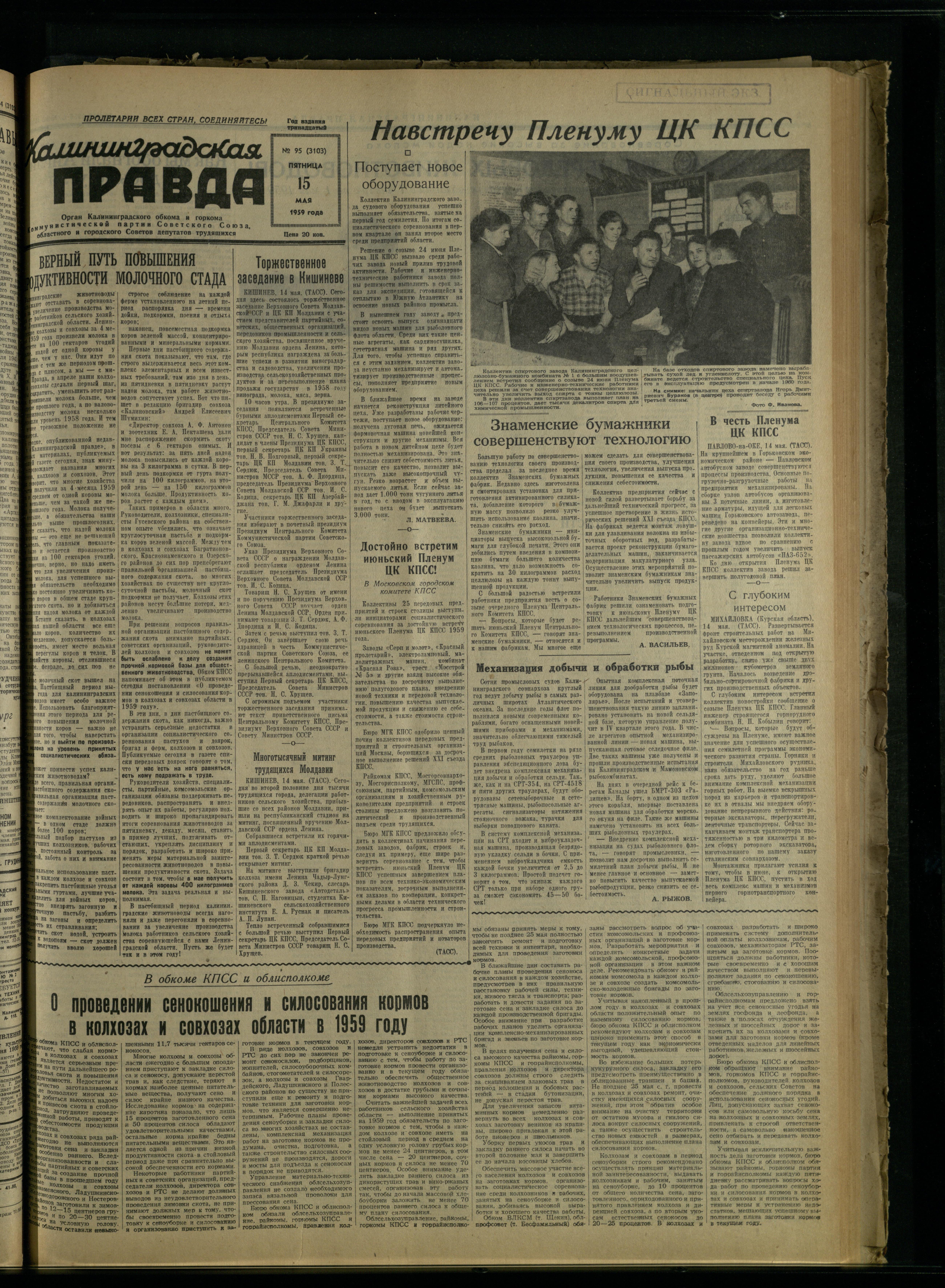 95-5-59-1