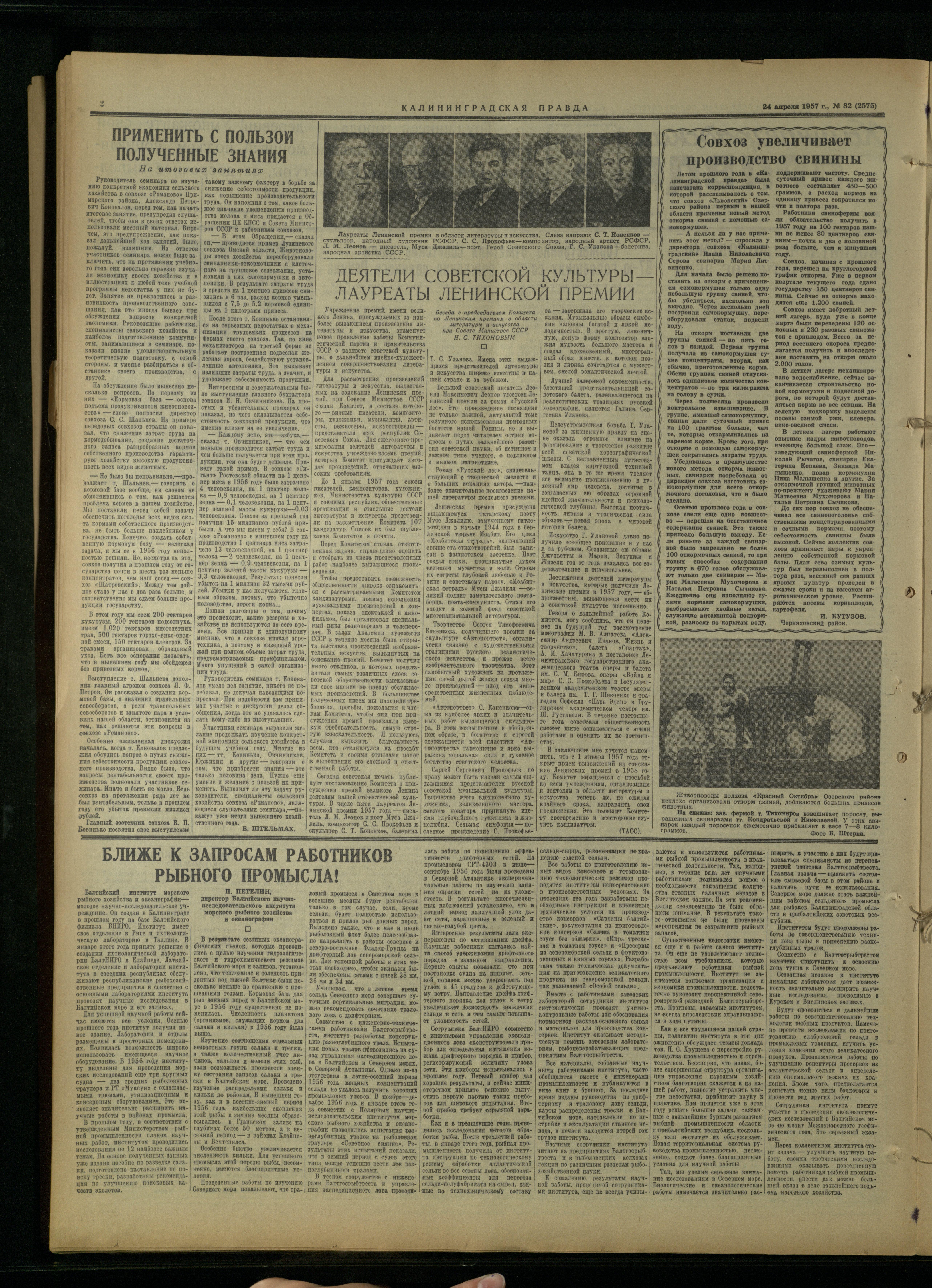 82-4-57-2