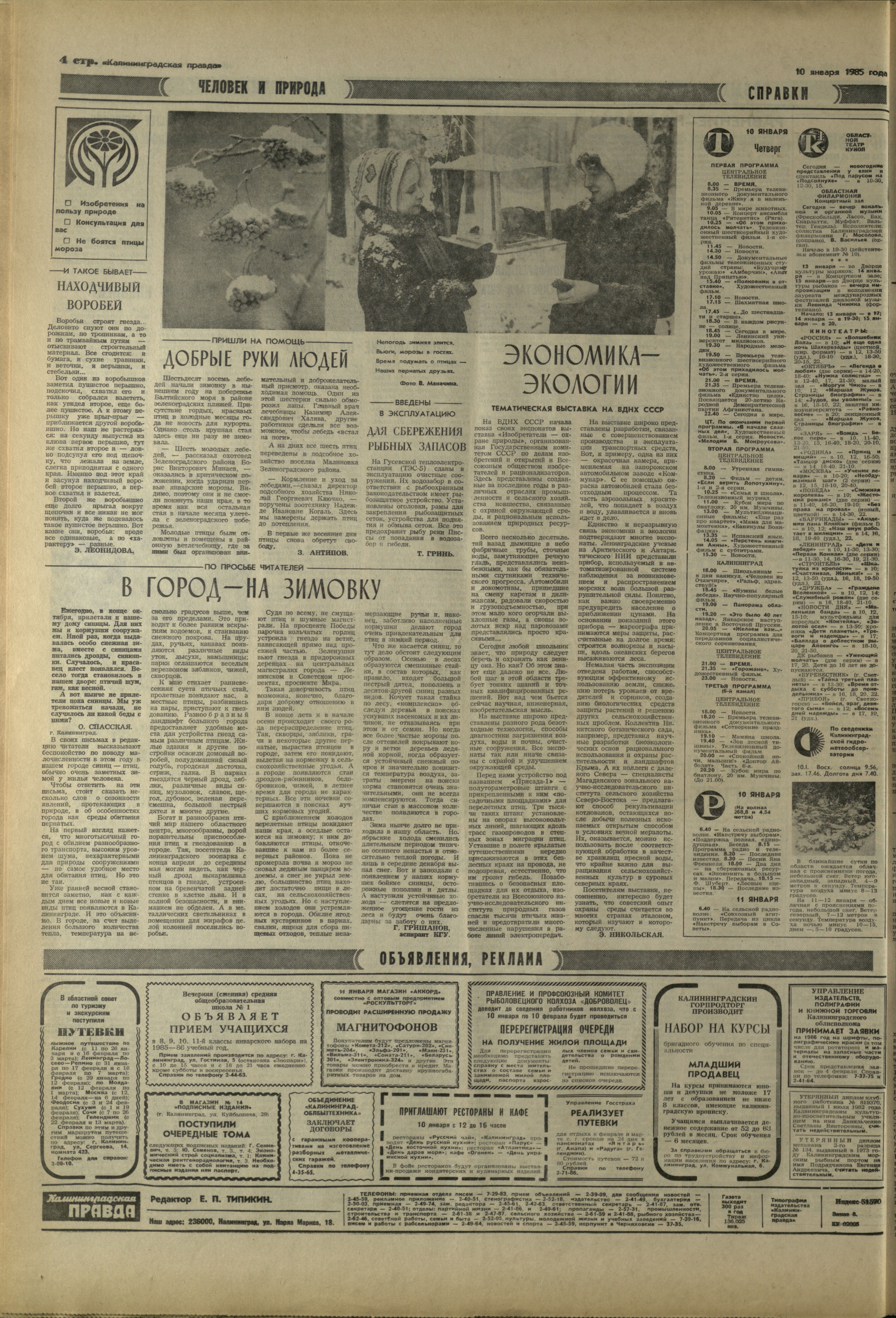 8-1-85-4