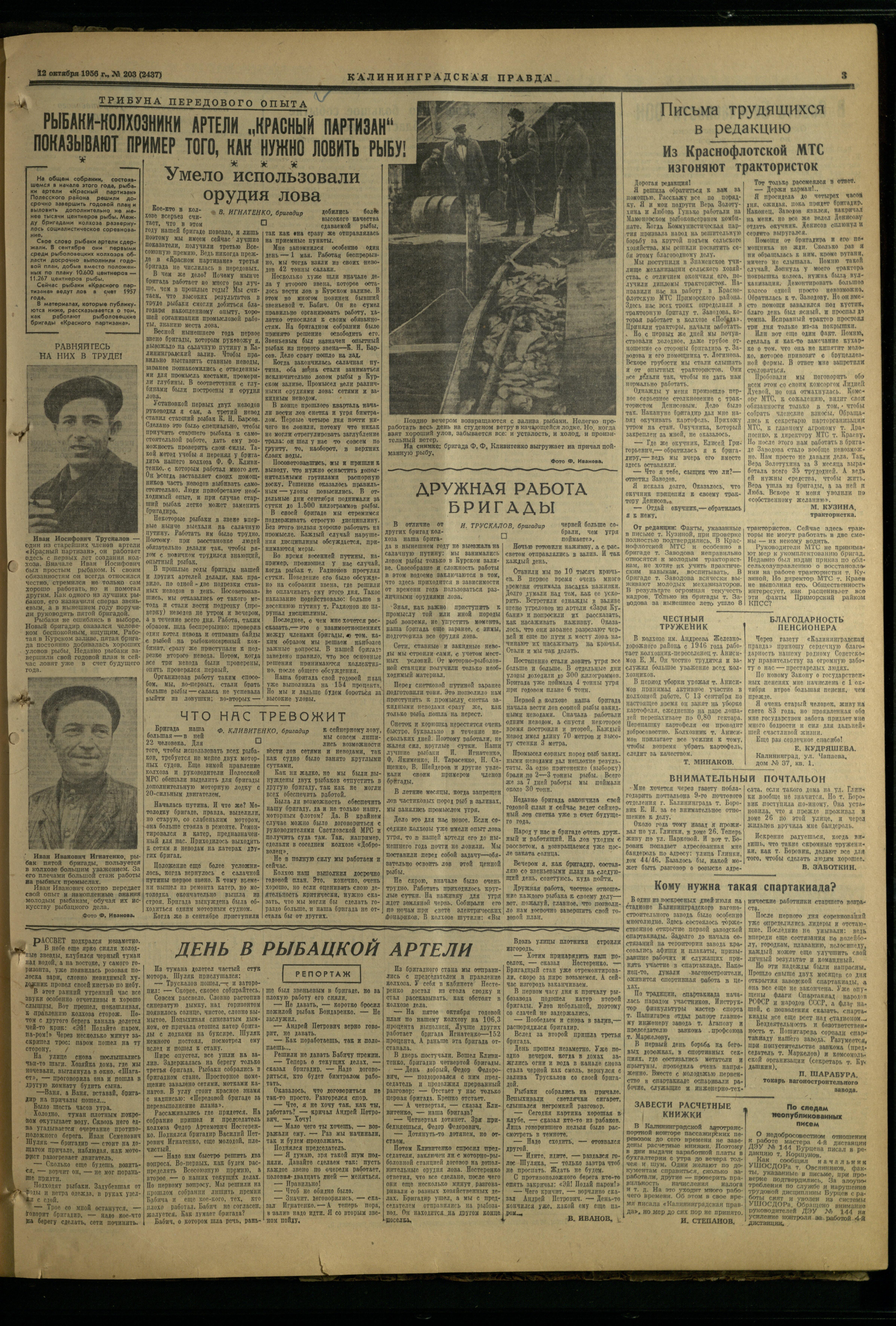 203-10-56-3