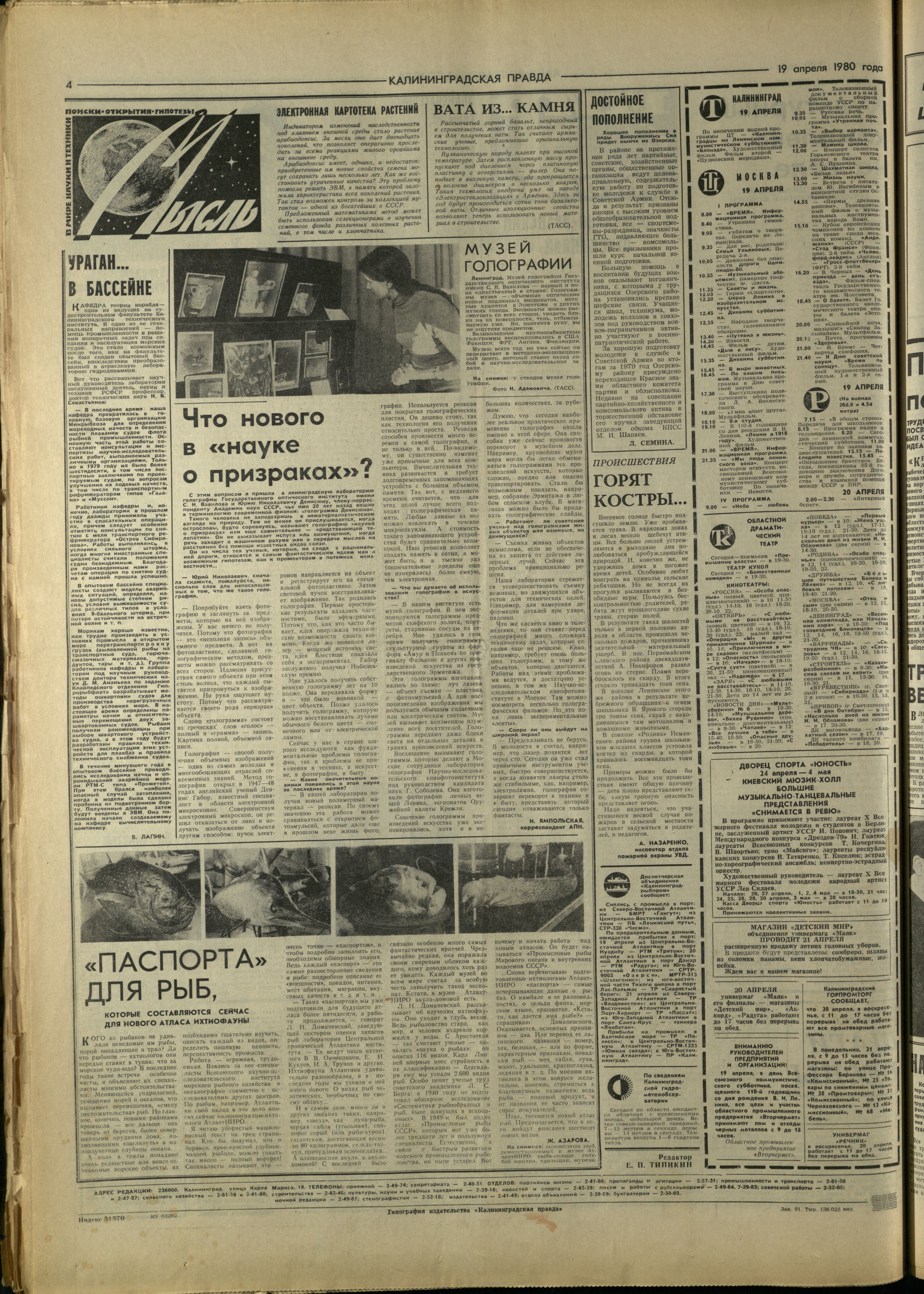91-4-80-4