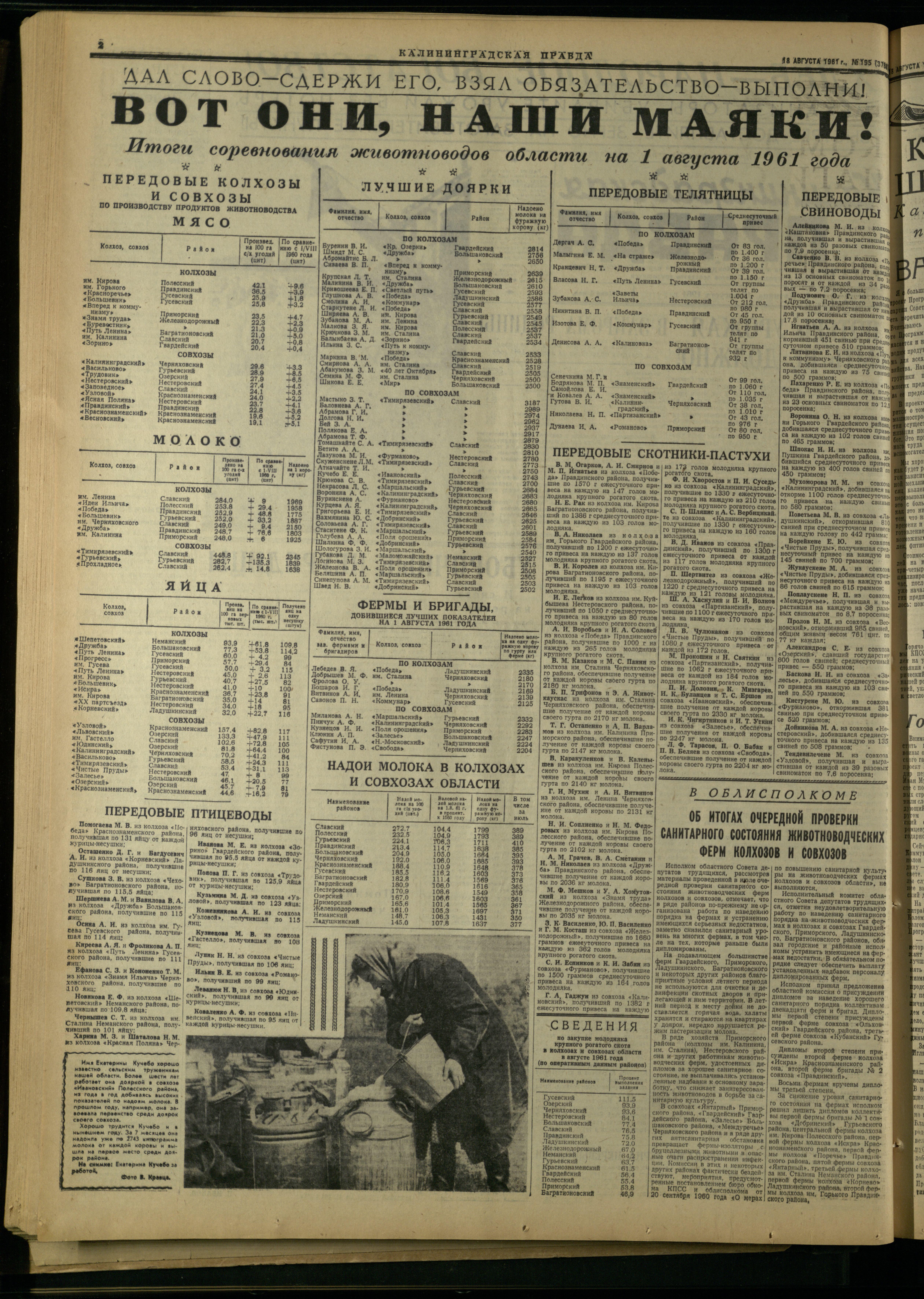 195-8-61-2