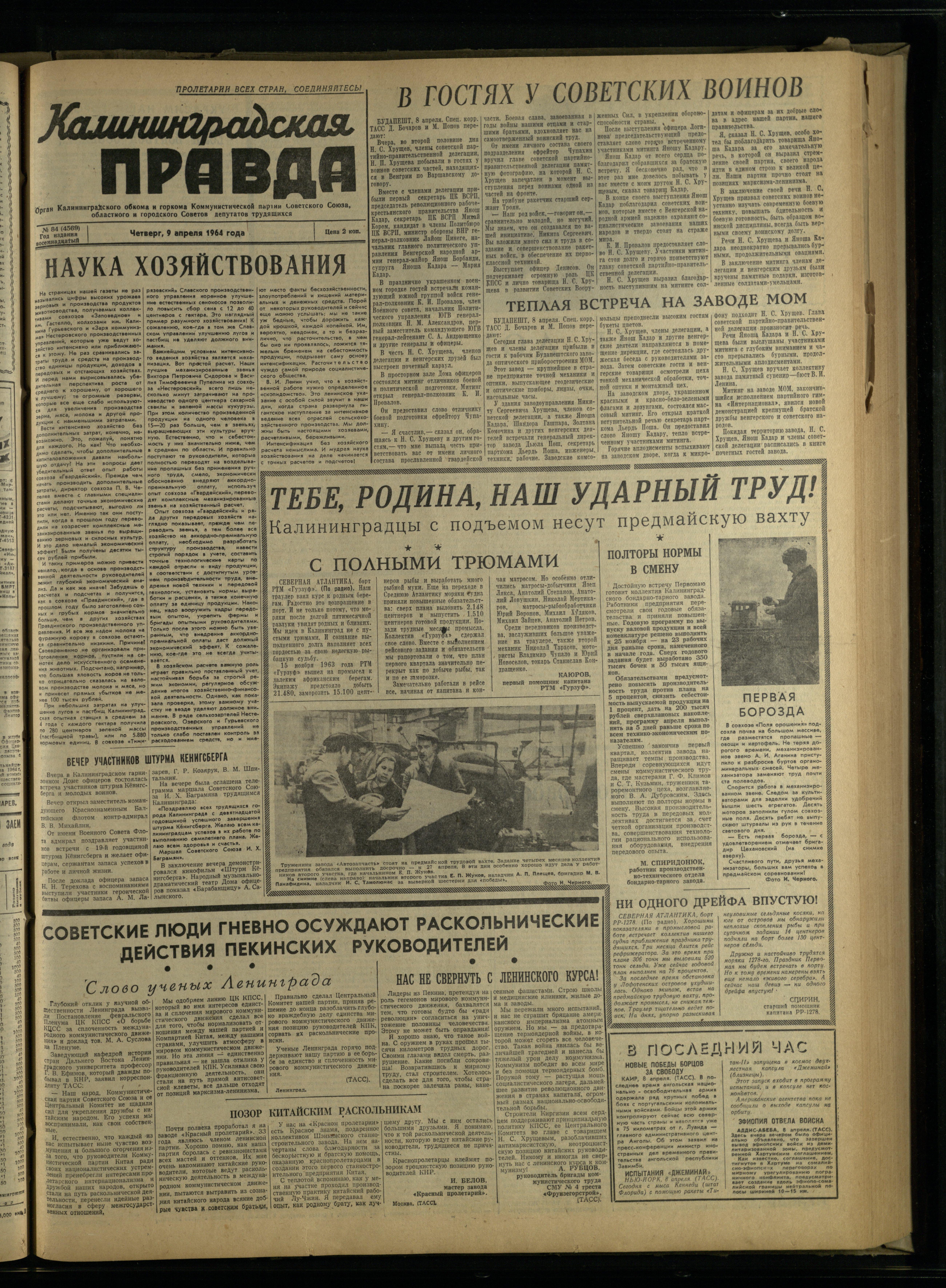 84-4-64-1