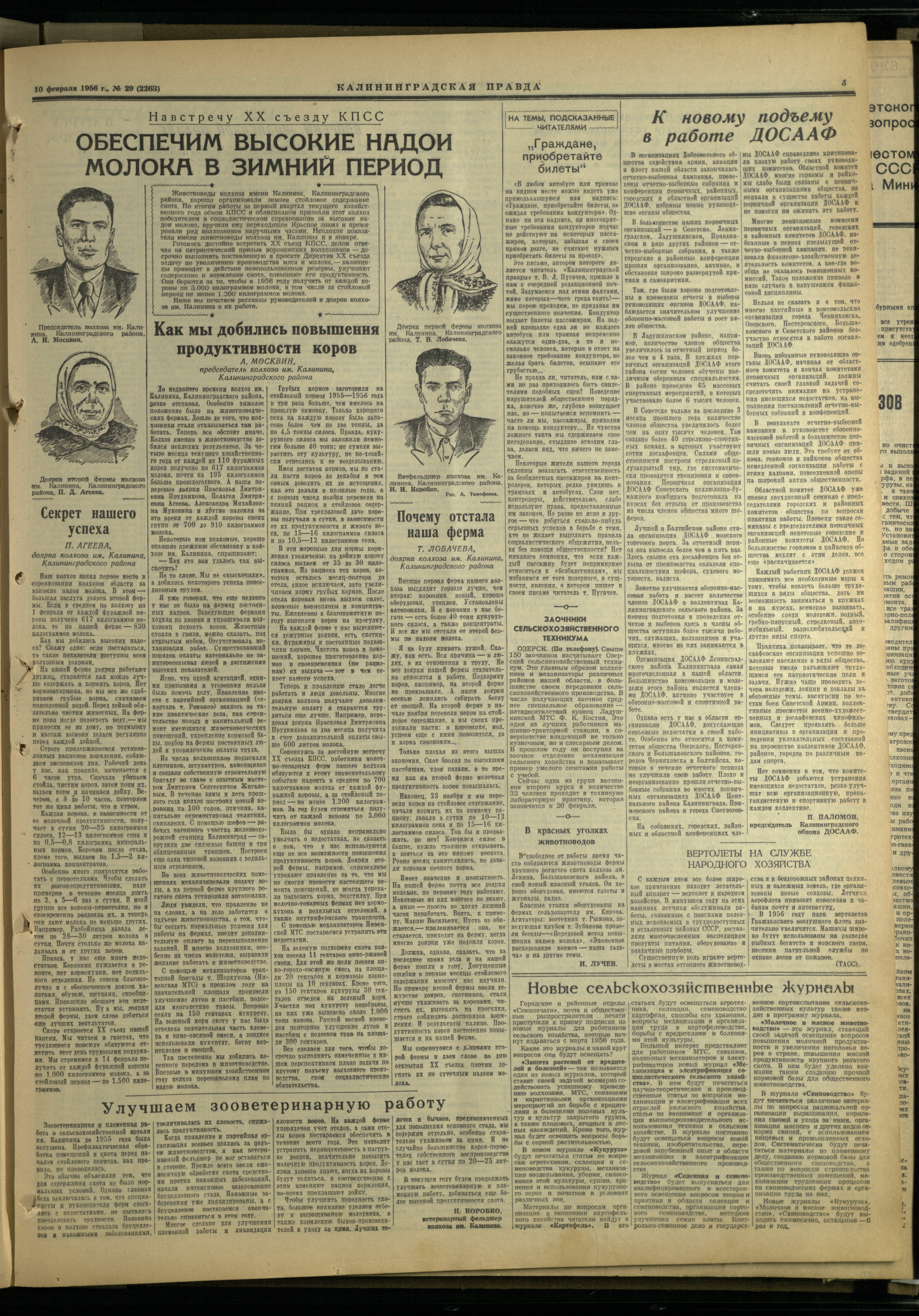 29-2-56-3