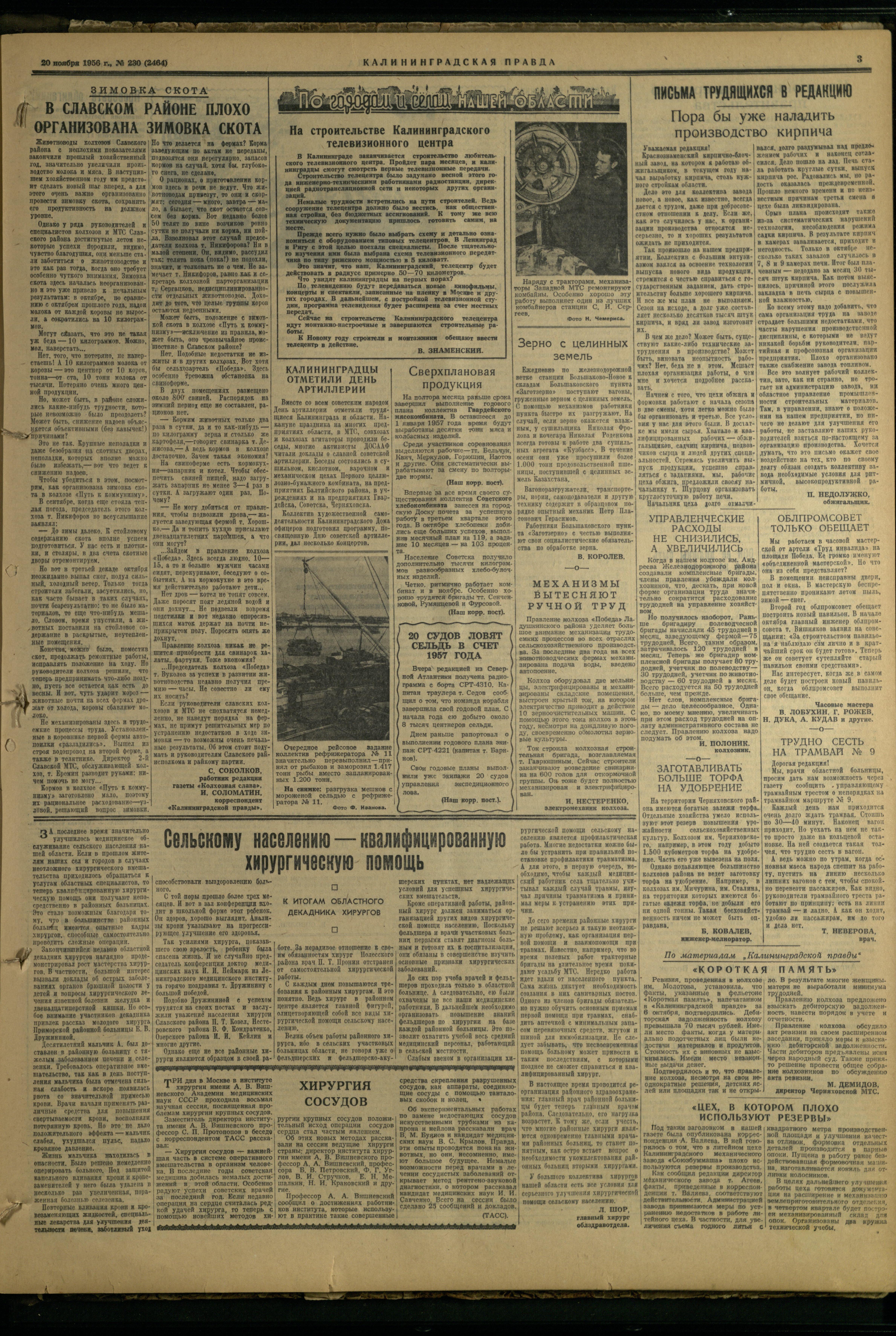 230-11-56-3