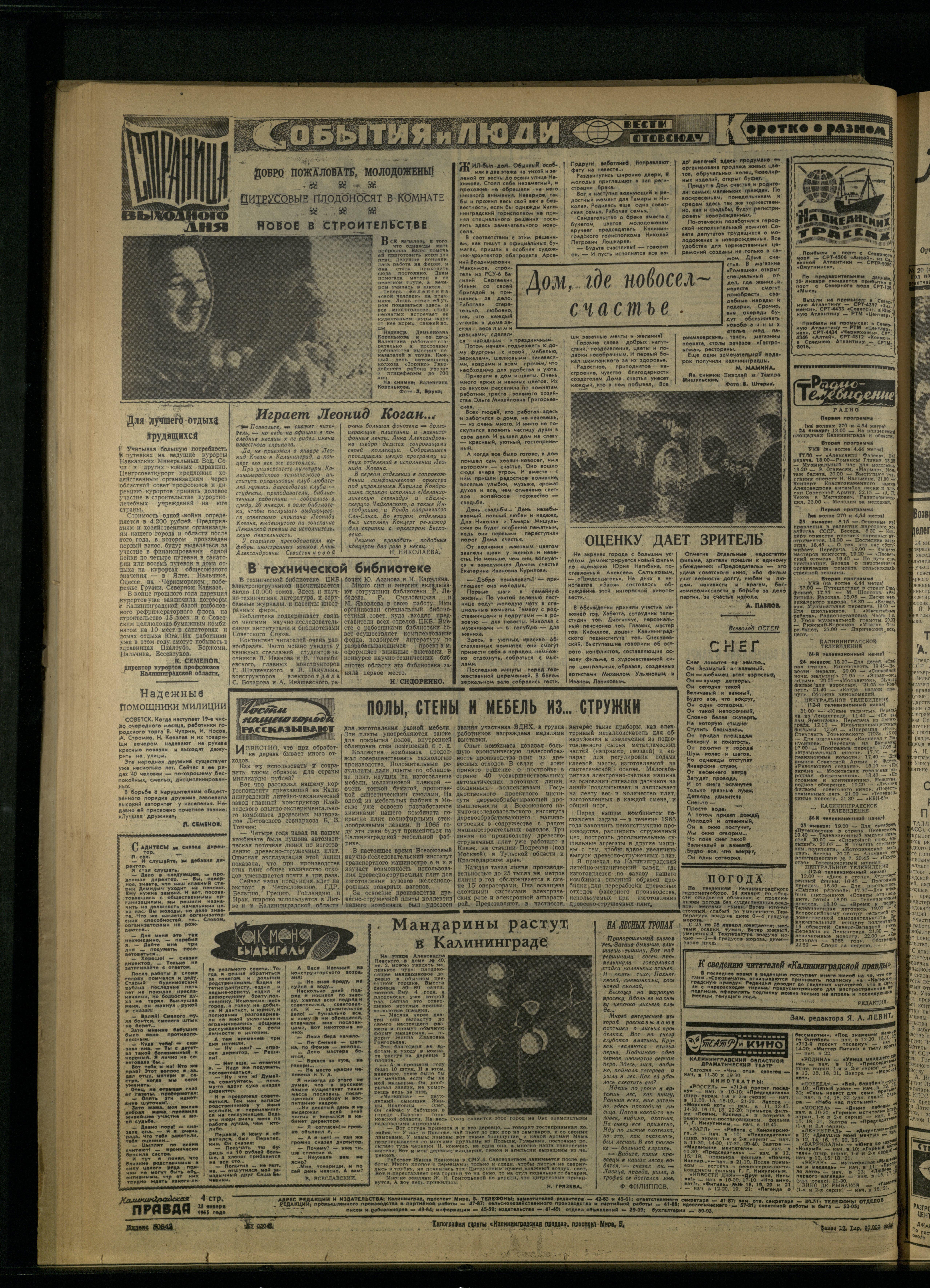 19-1-65--4