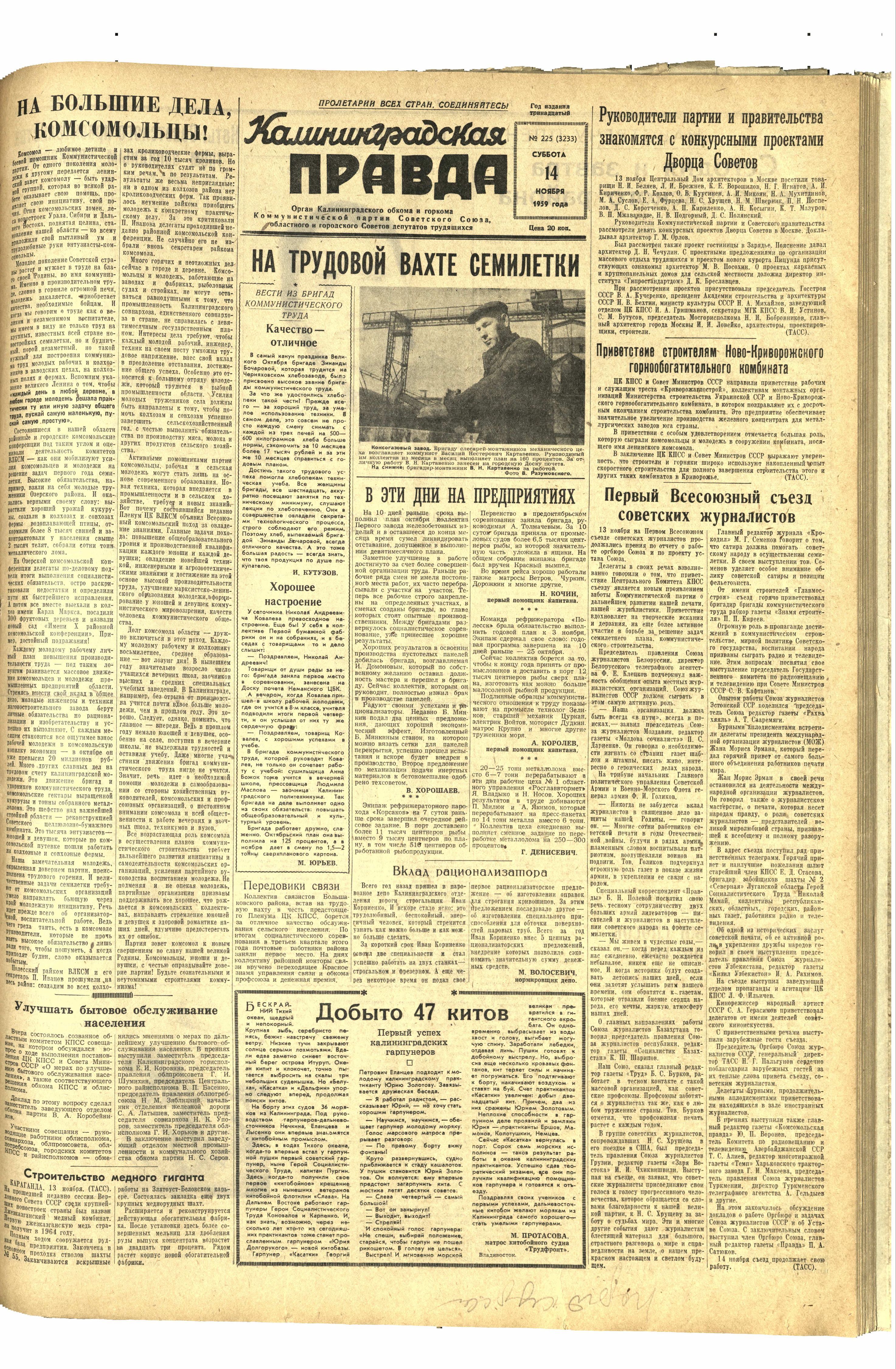 224-11-59-1