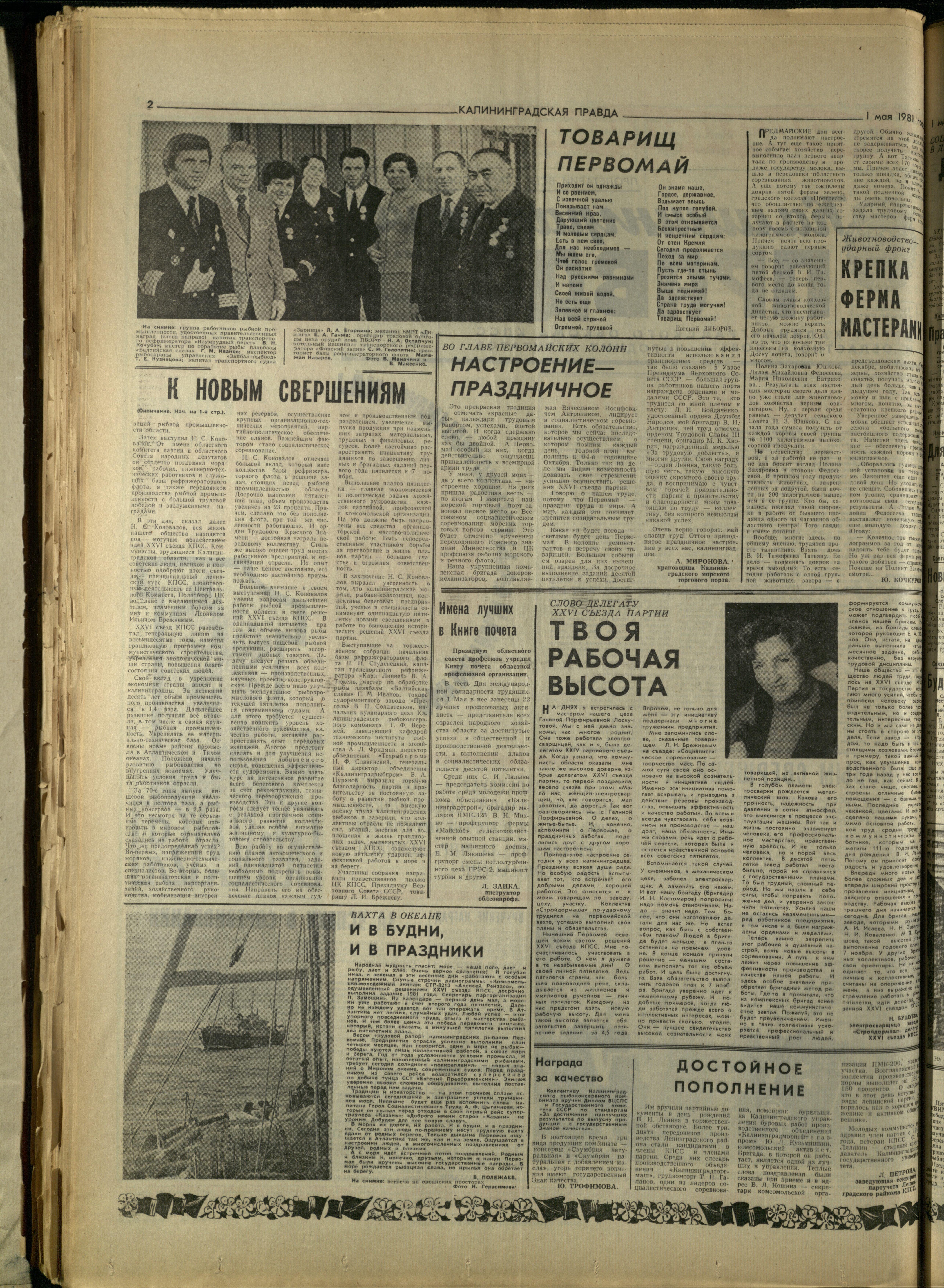 101-5-81-2