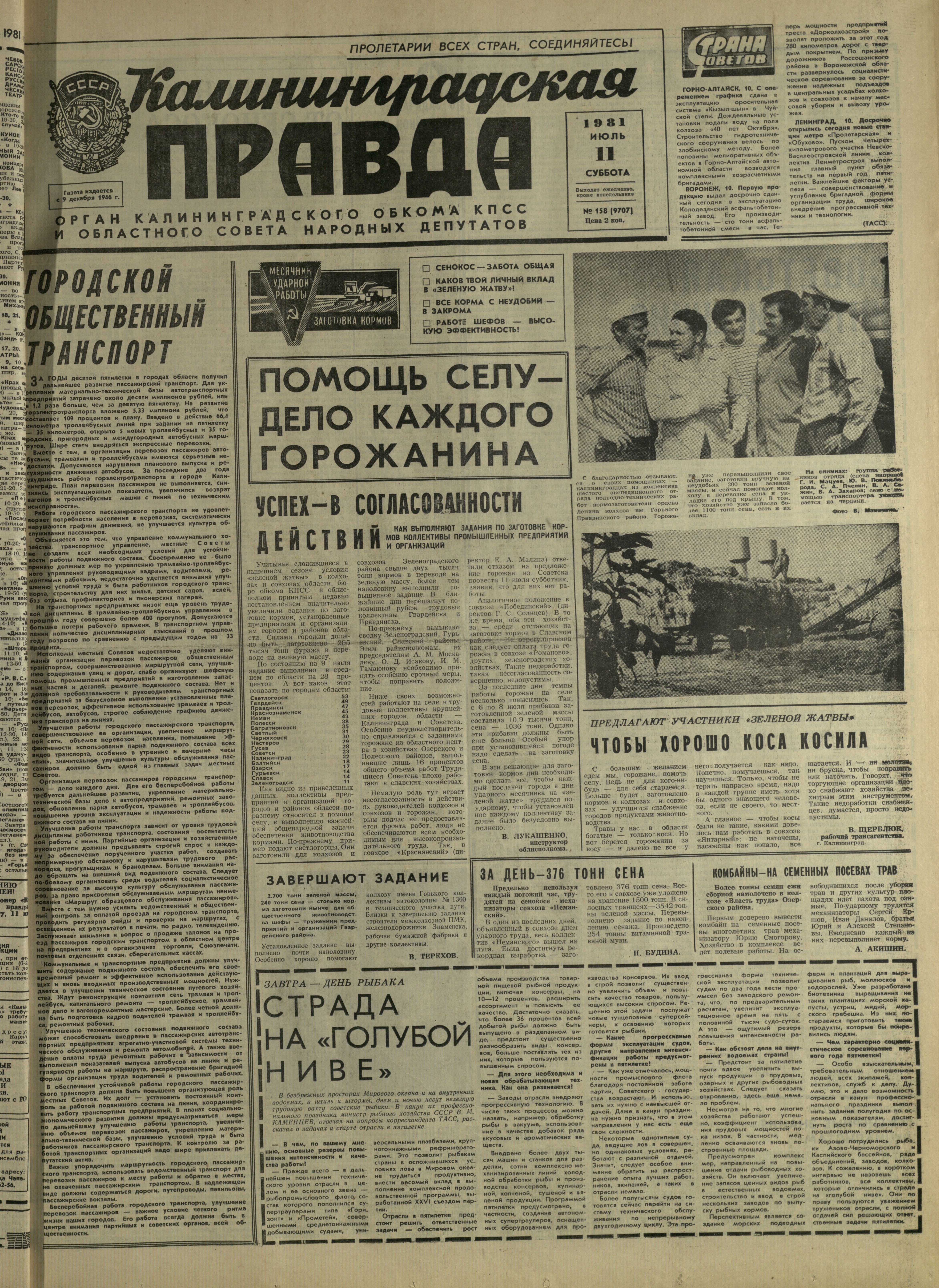 158-7-81-1