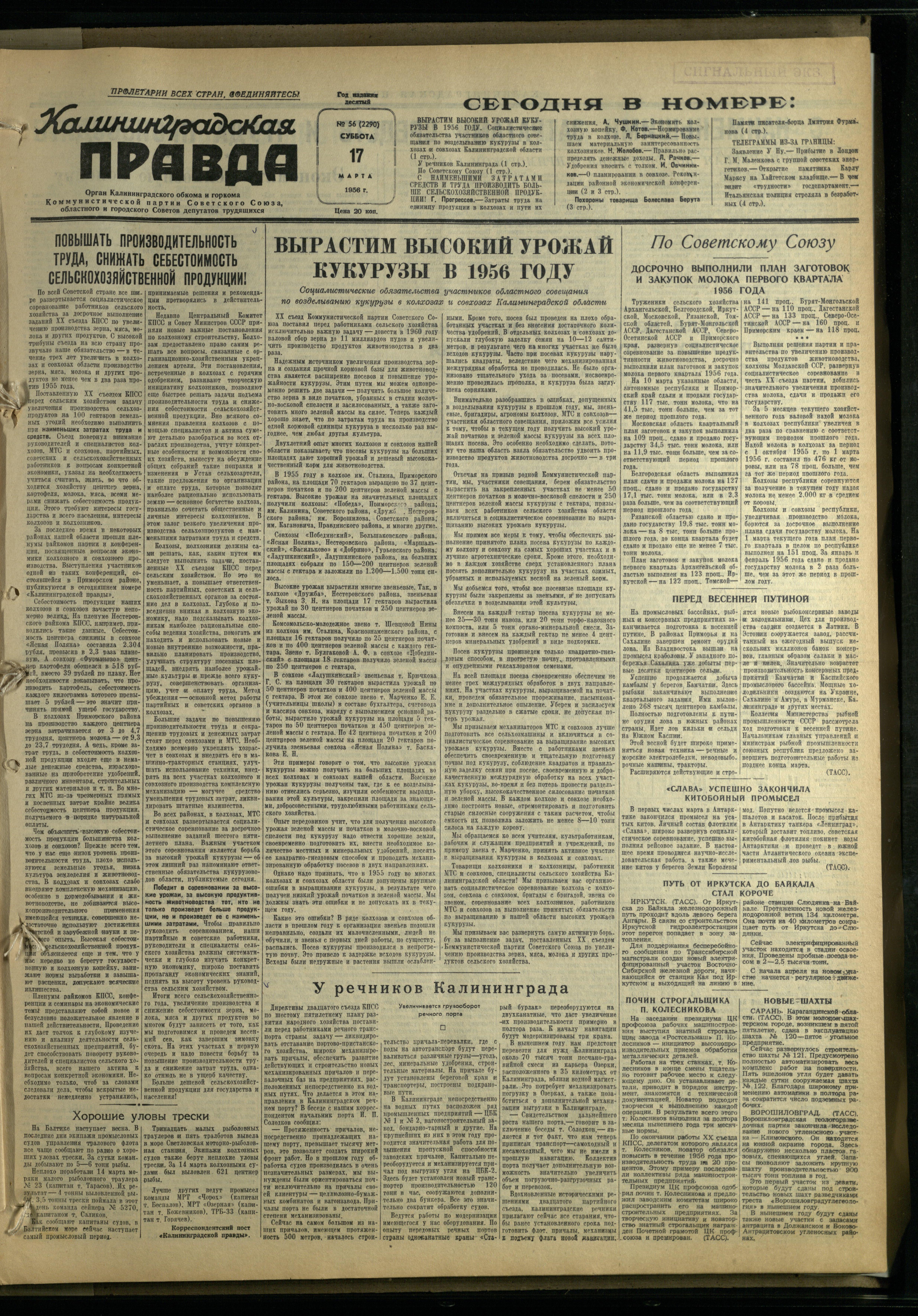 56-3-56-1