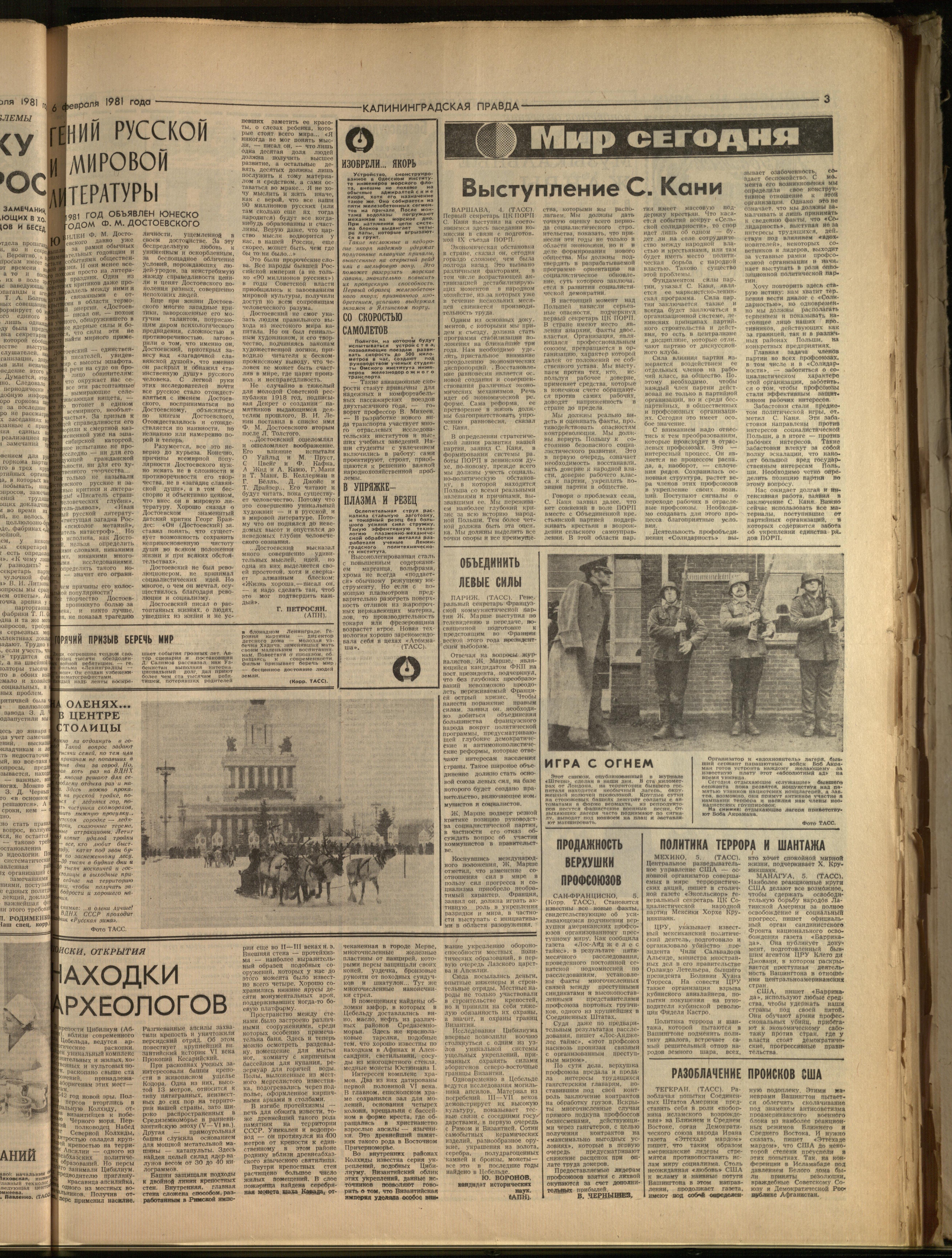 31-2-81-3