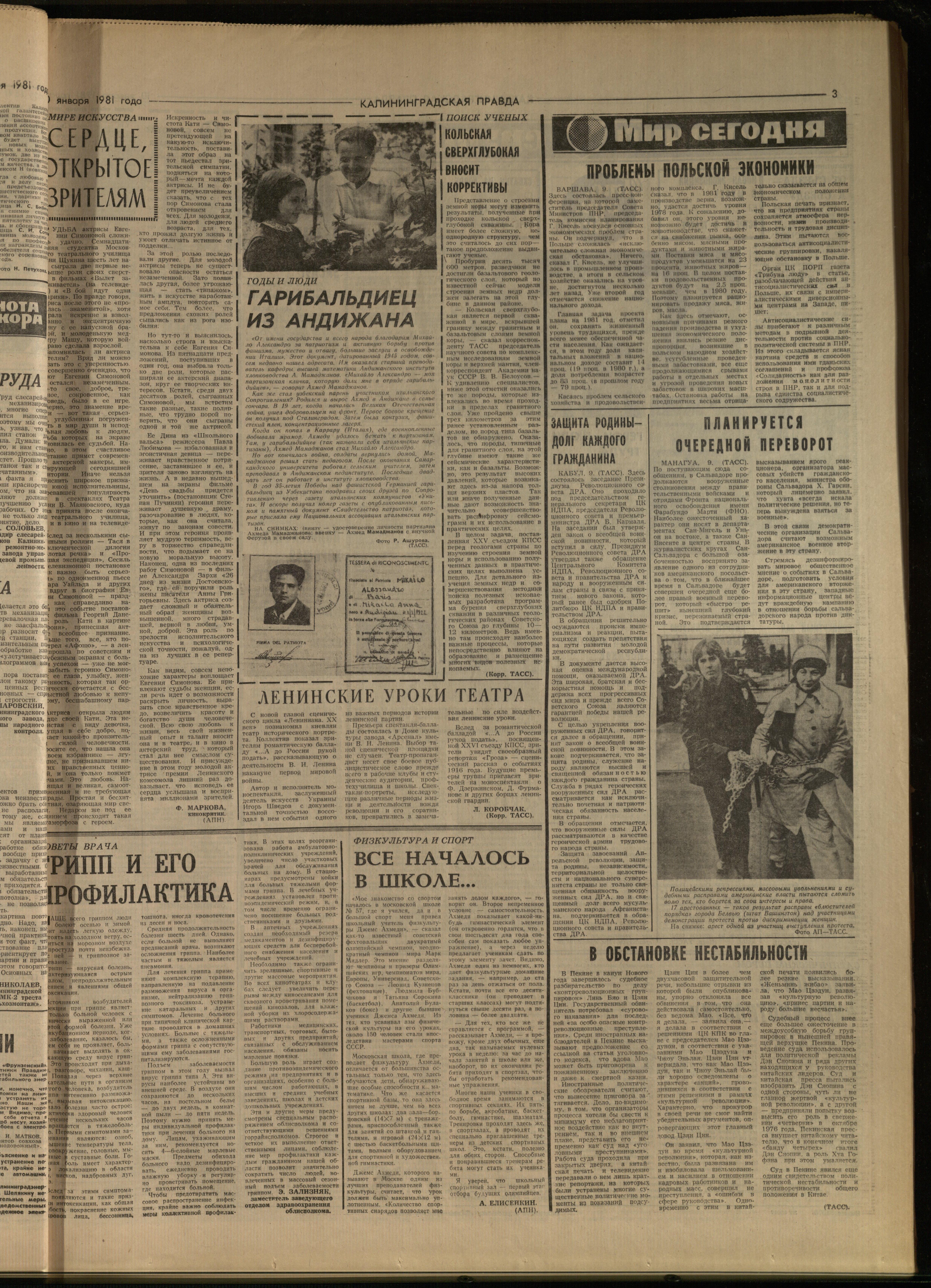 8-1-81-3