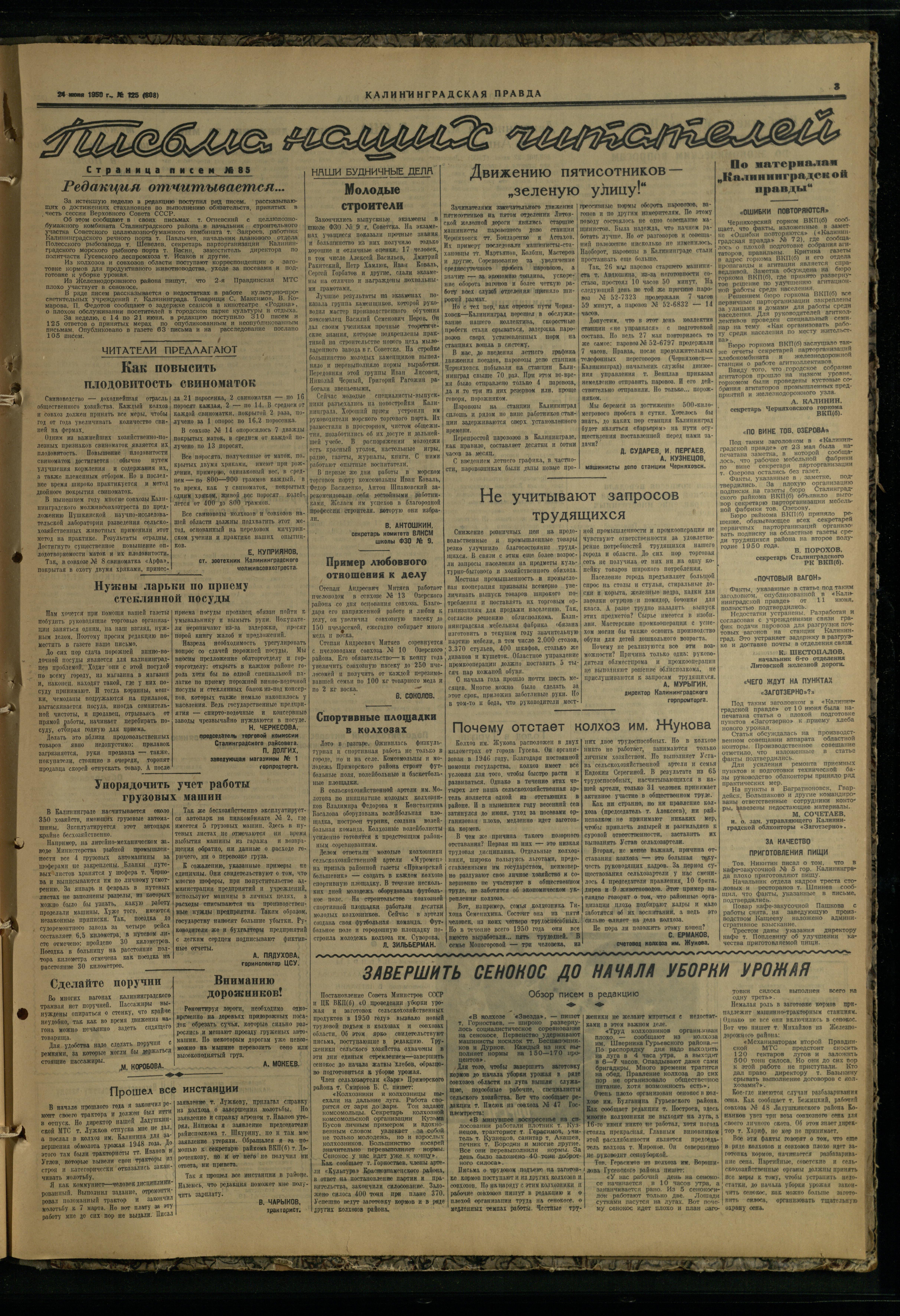 125-6-50-3