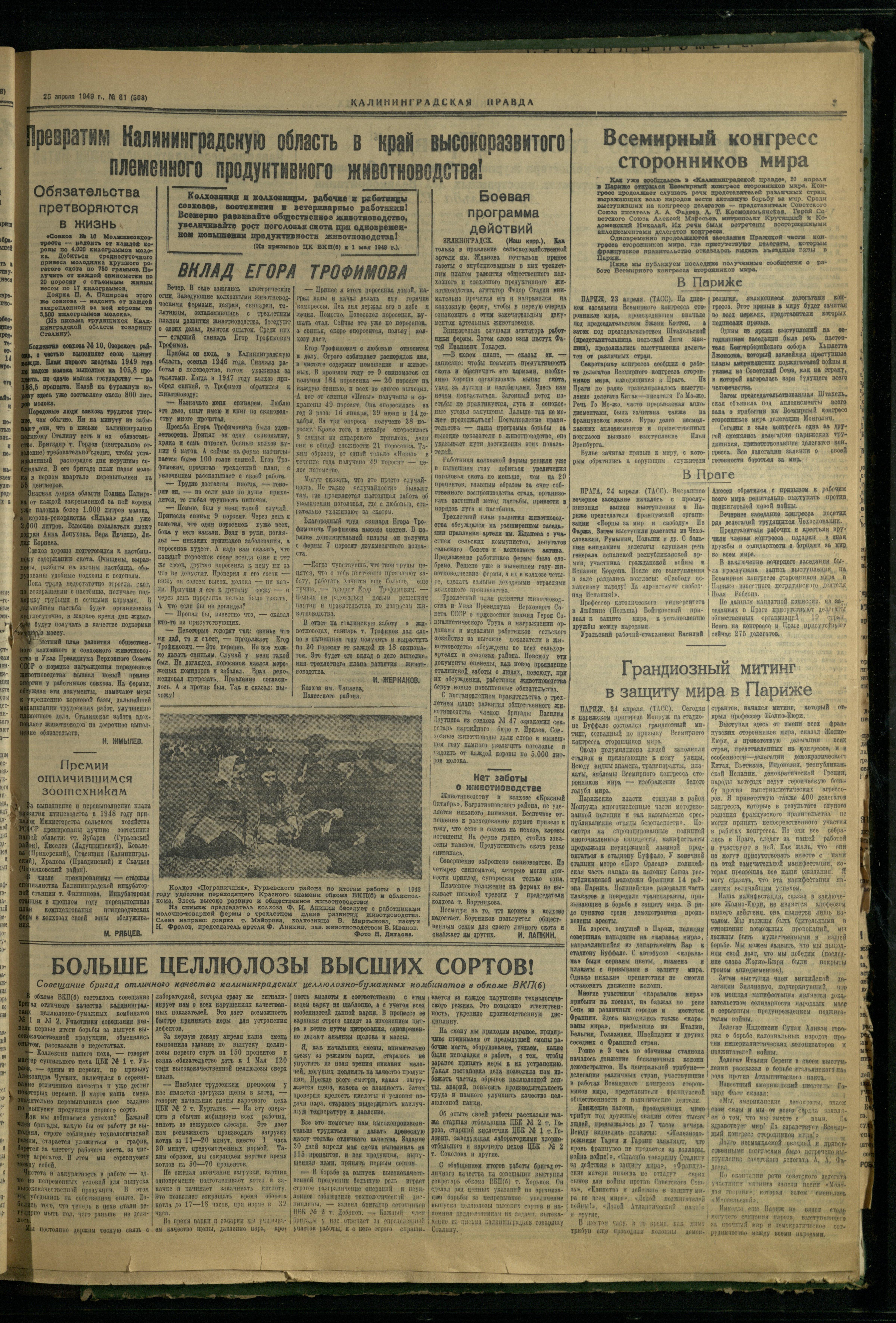 81-4-49-3