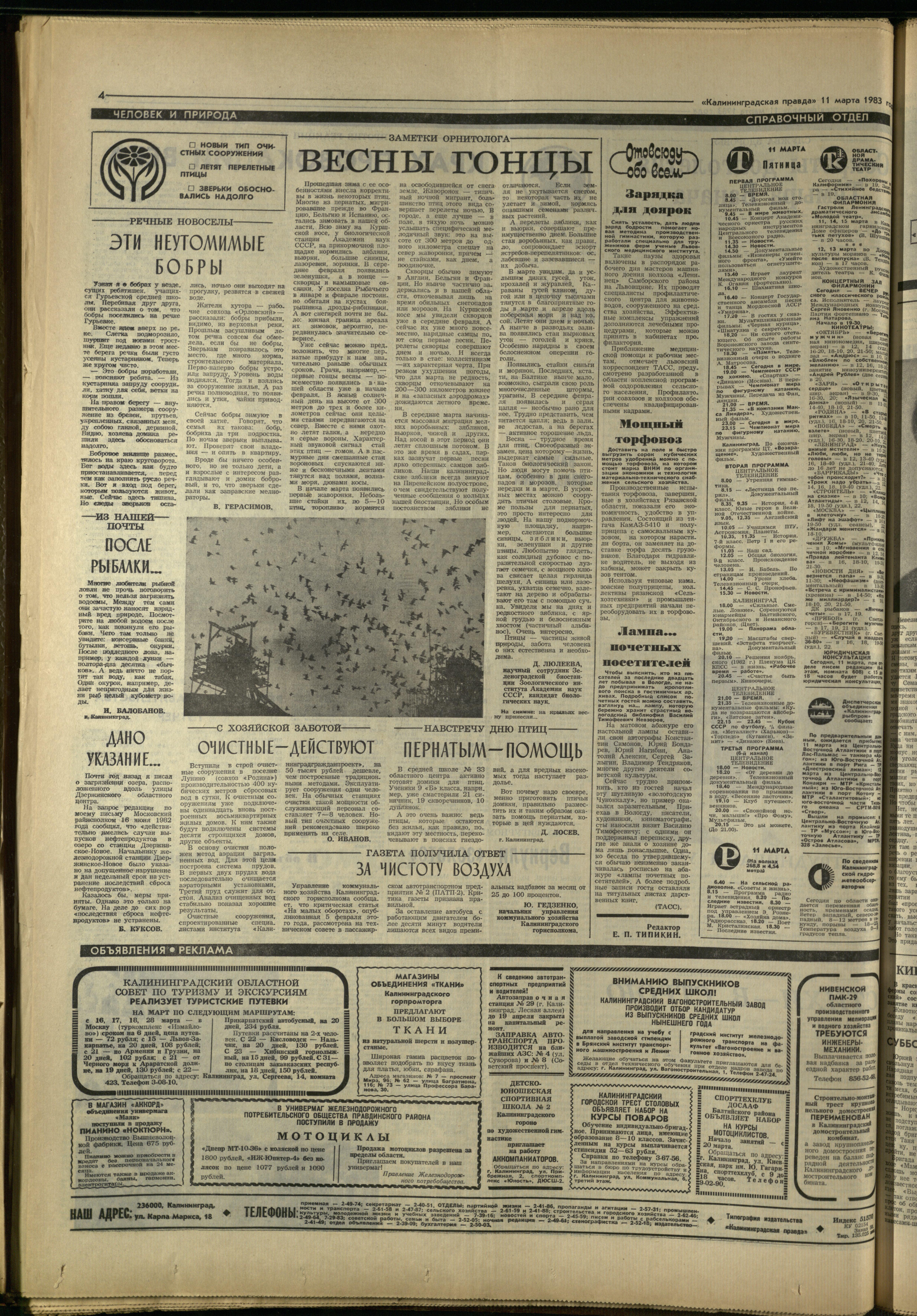 58-3-83-4