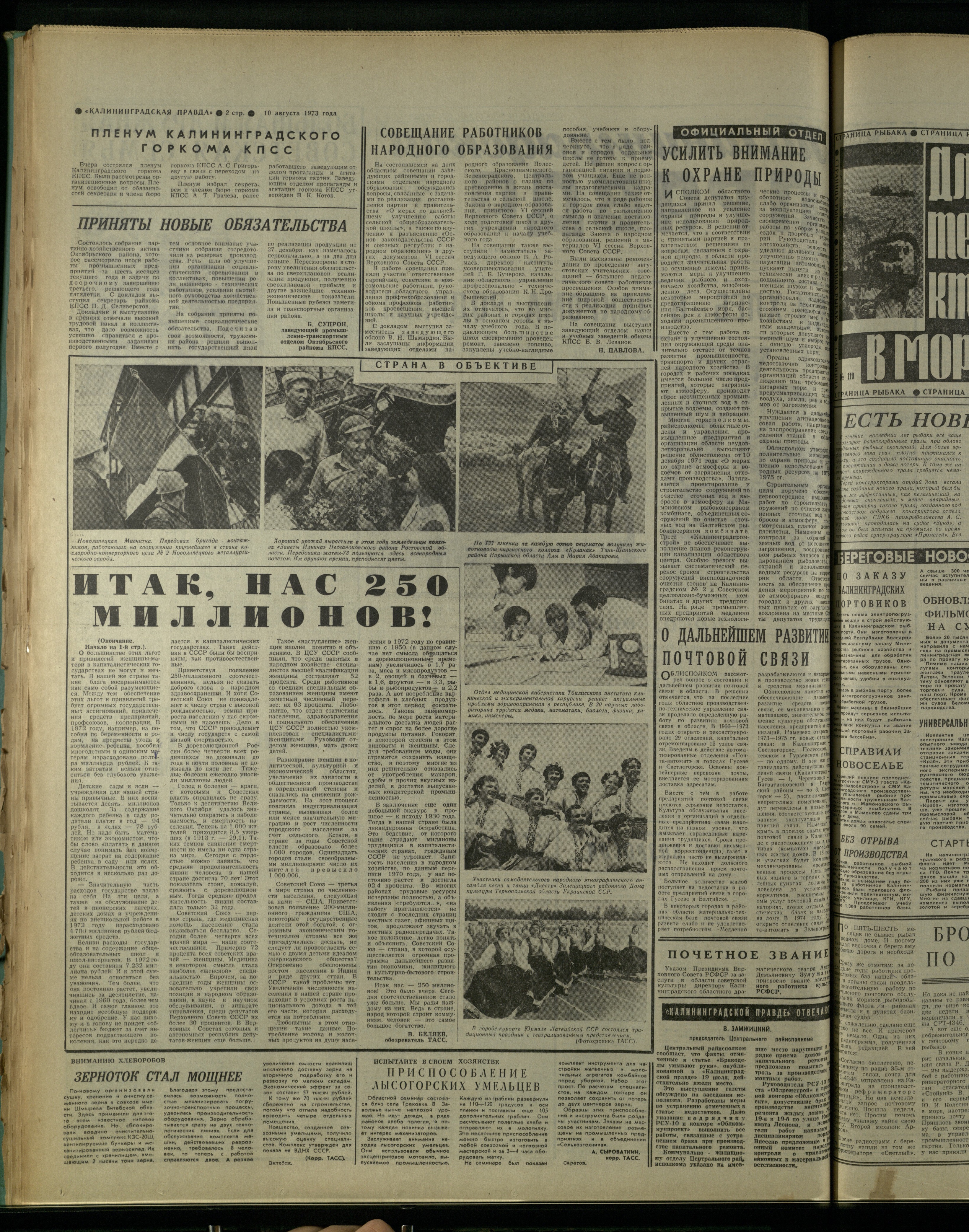 185-8-73-2