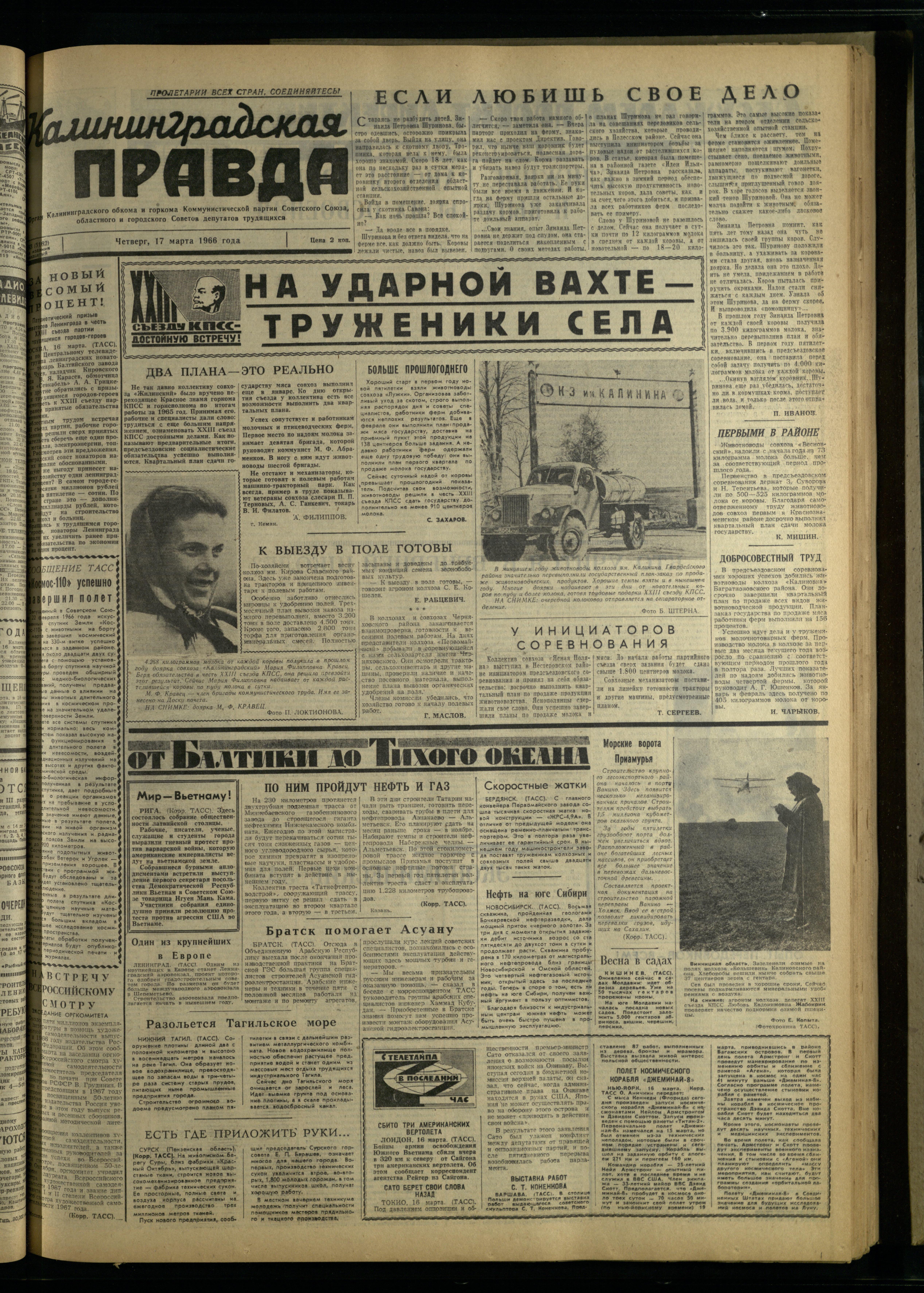 63-3-66-1