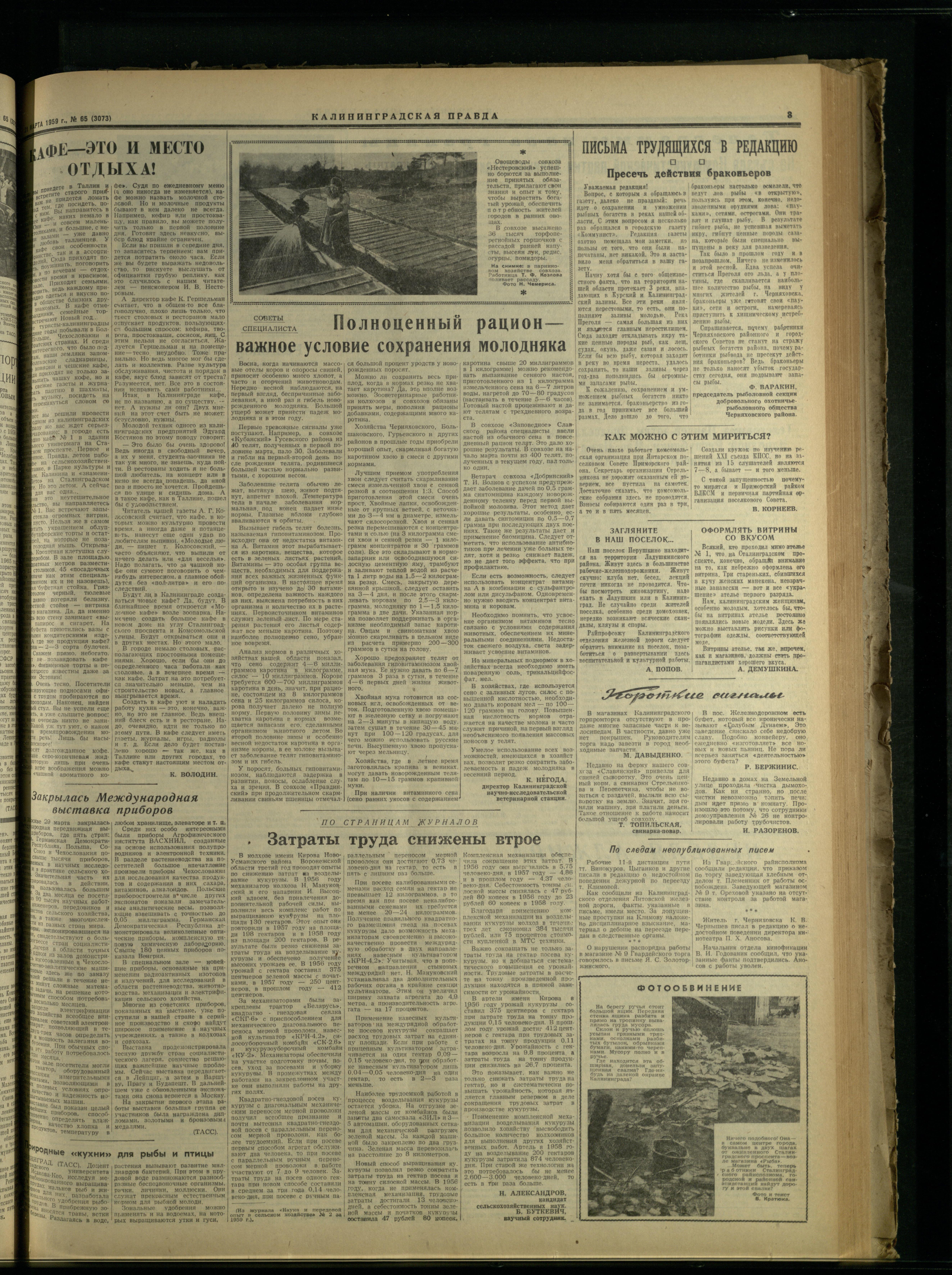 65-3-59-3