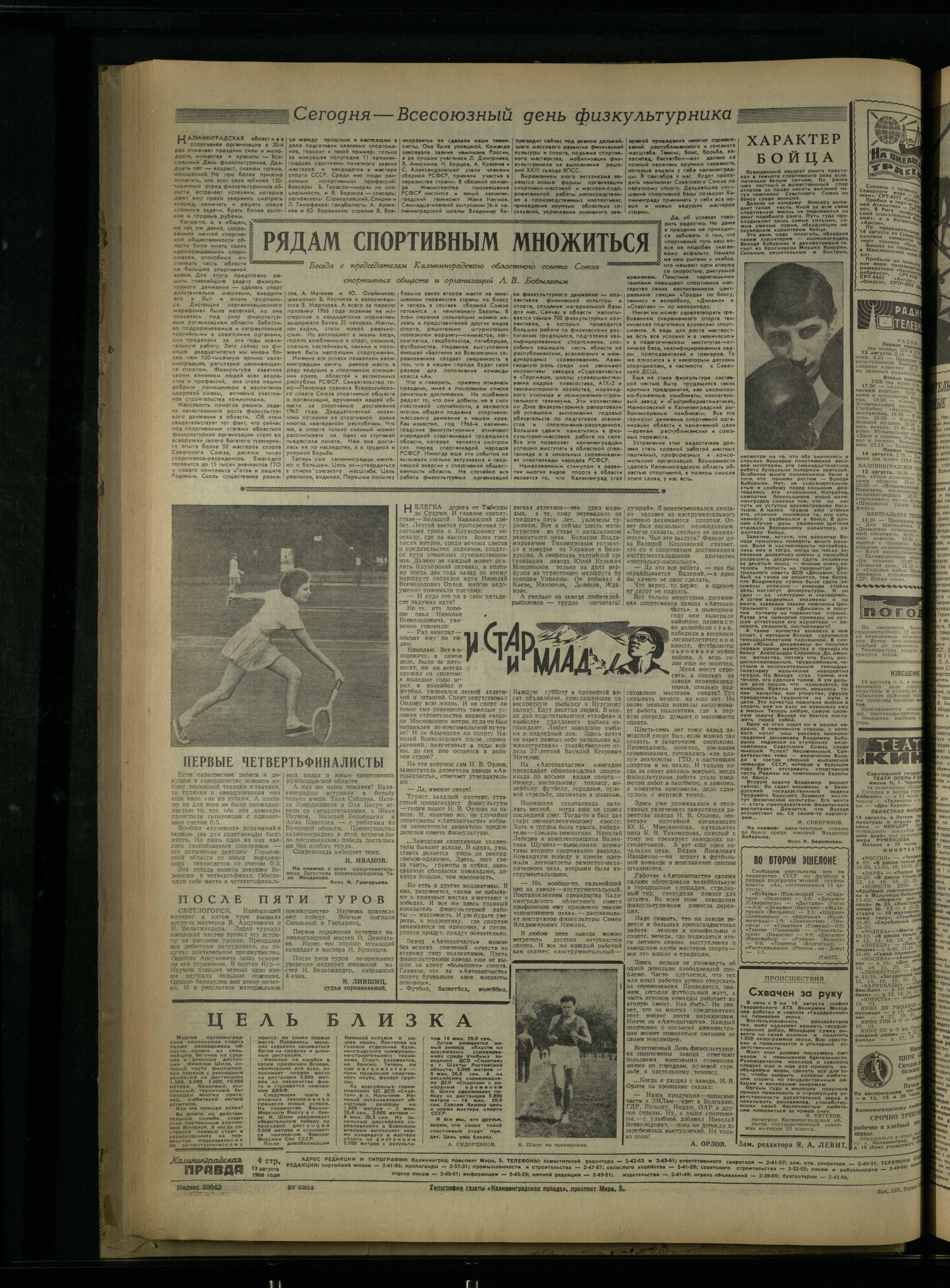 187-8-66-4