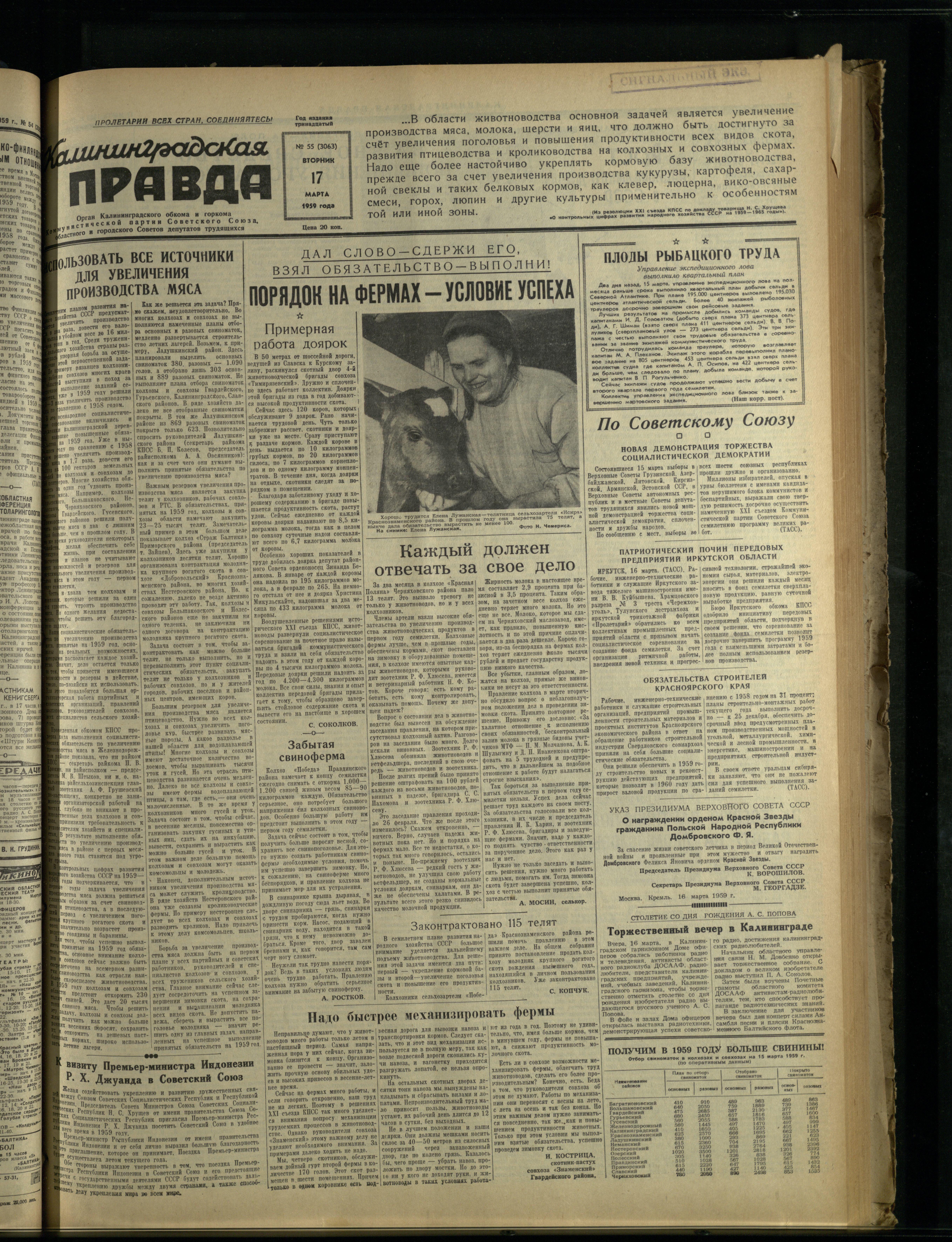 55-3-59-1