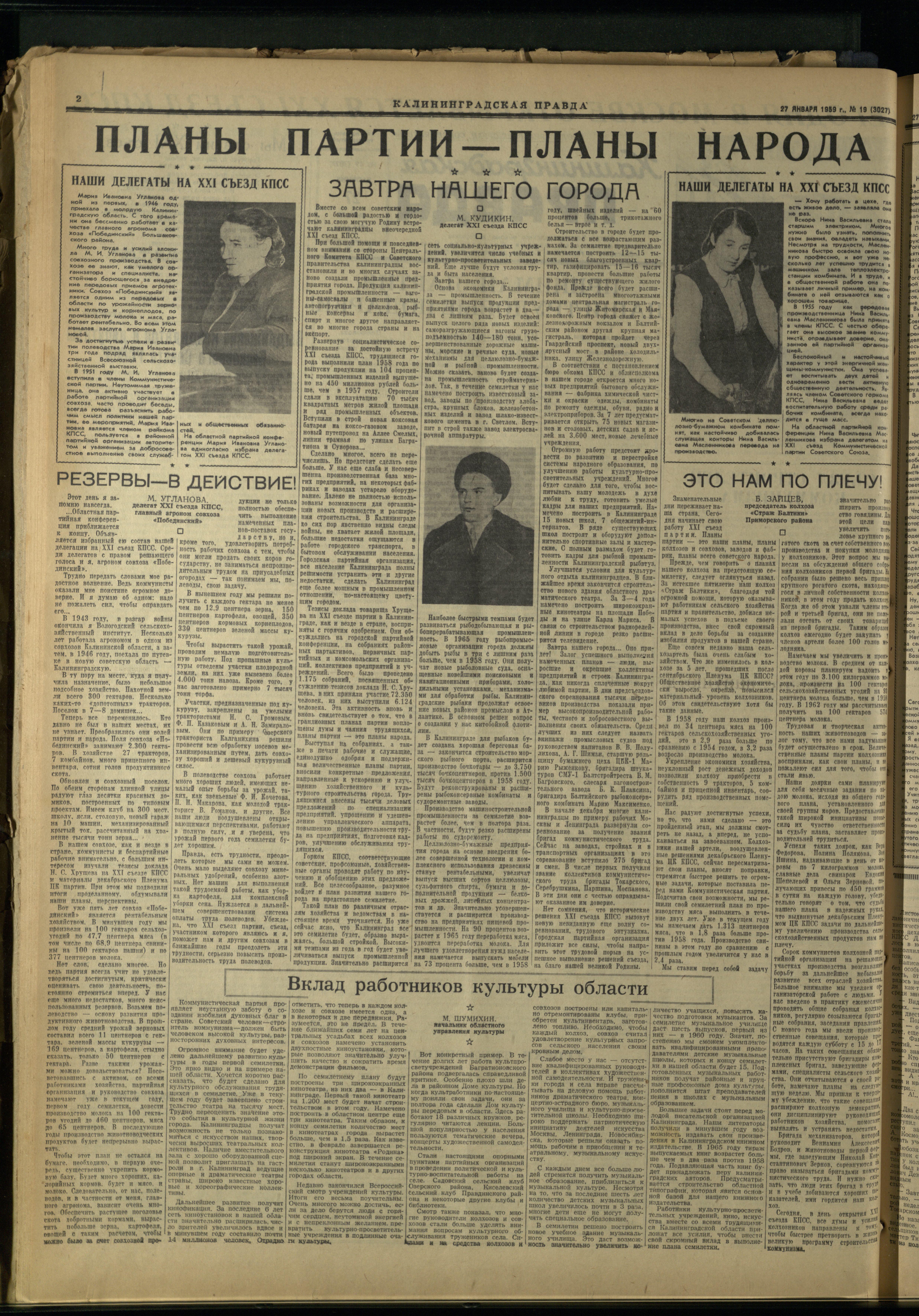 19-1-59-2