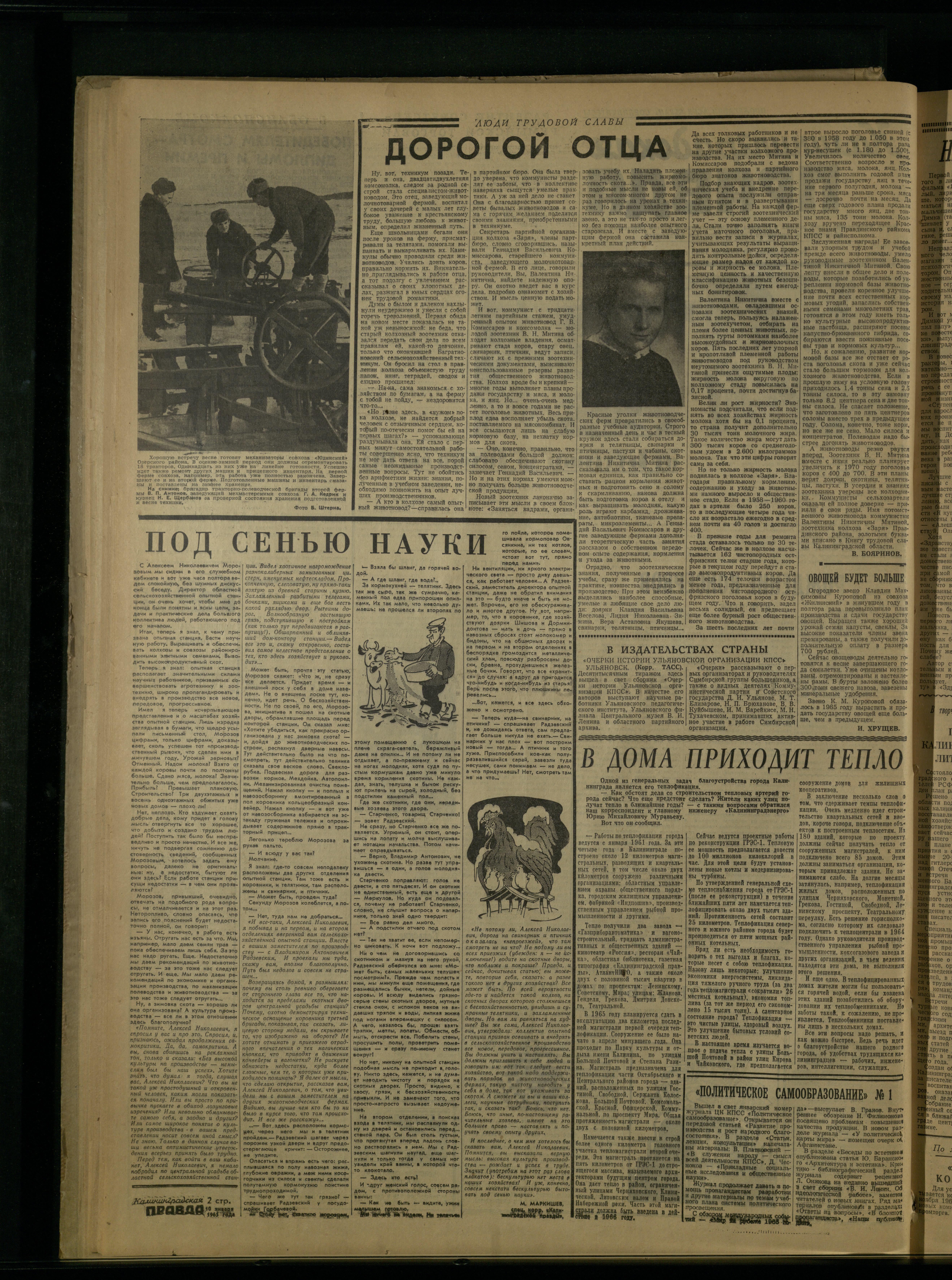 7-1-65-2