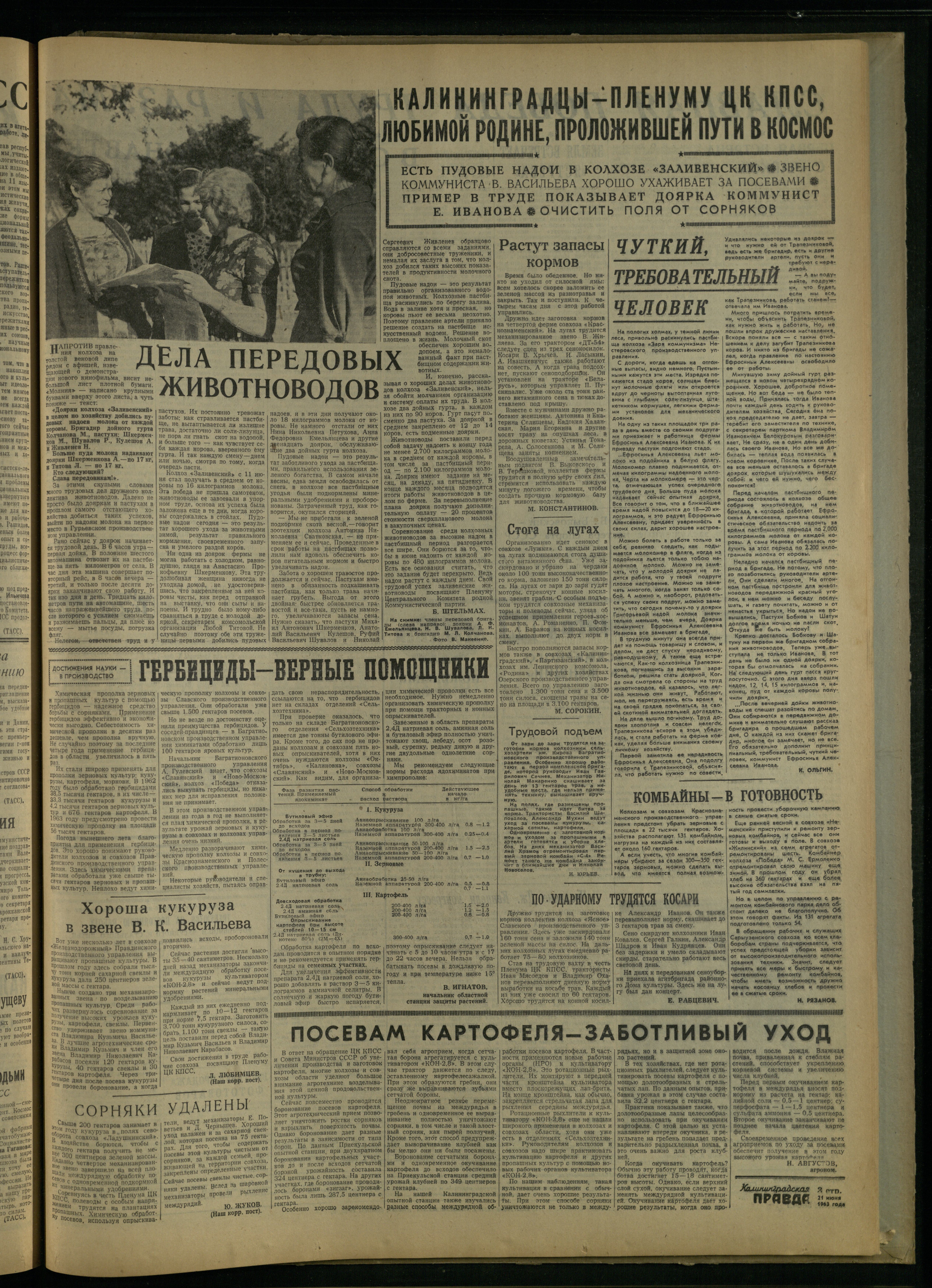 144-6-63-3