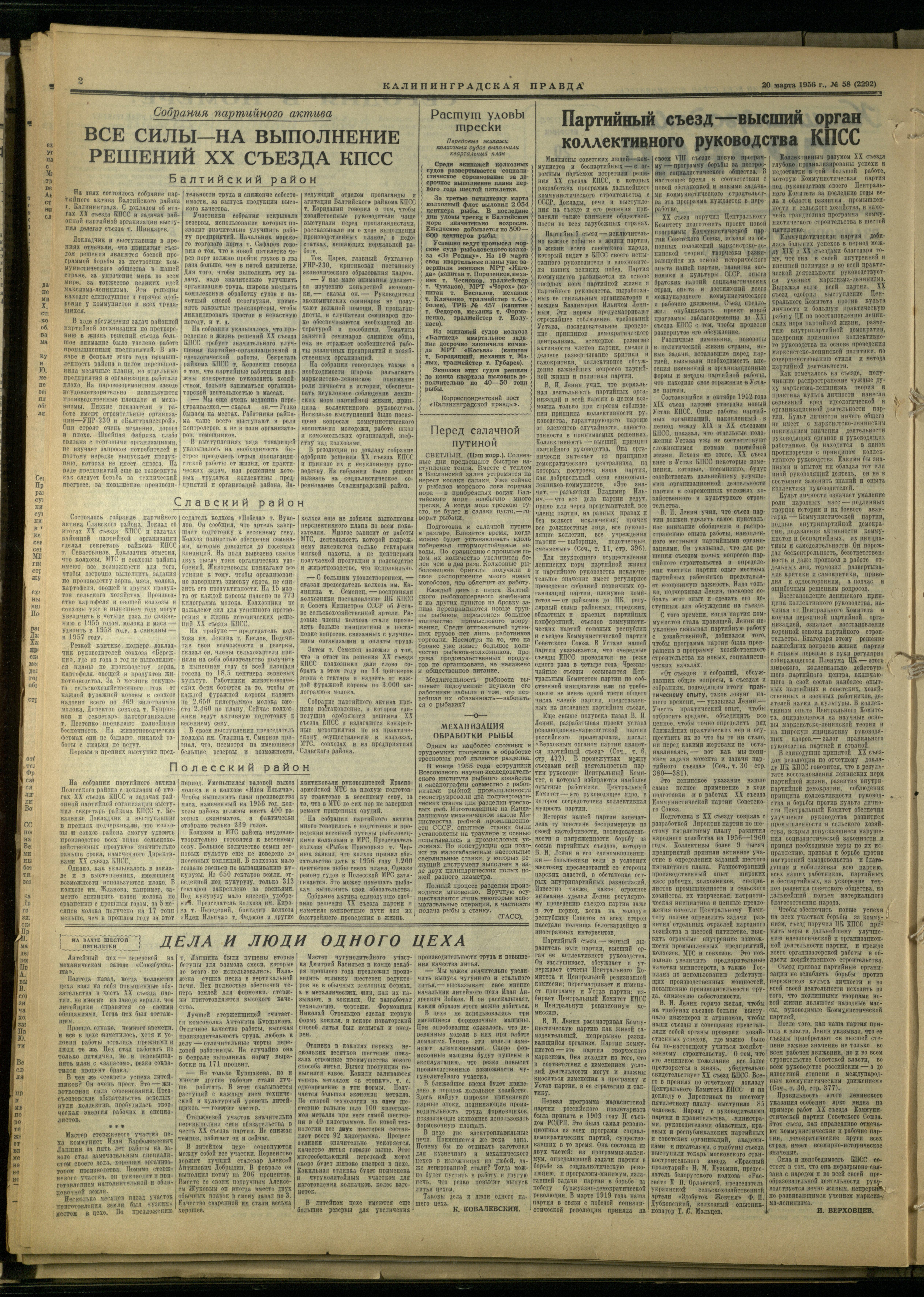 58-3-56-2
