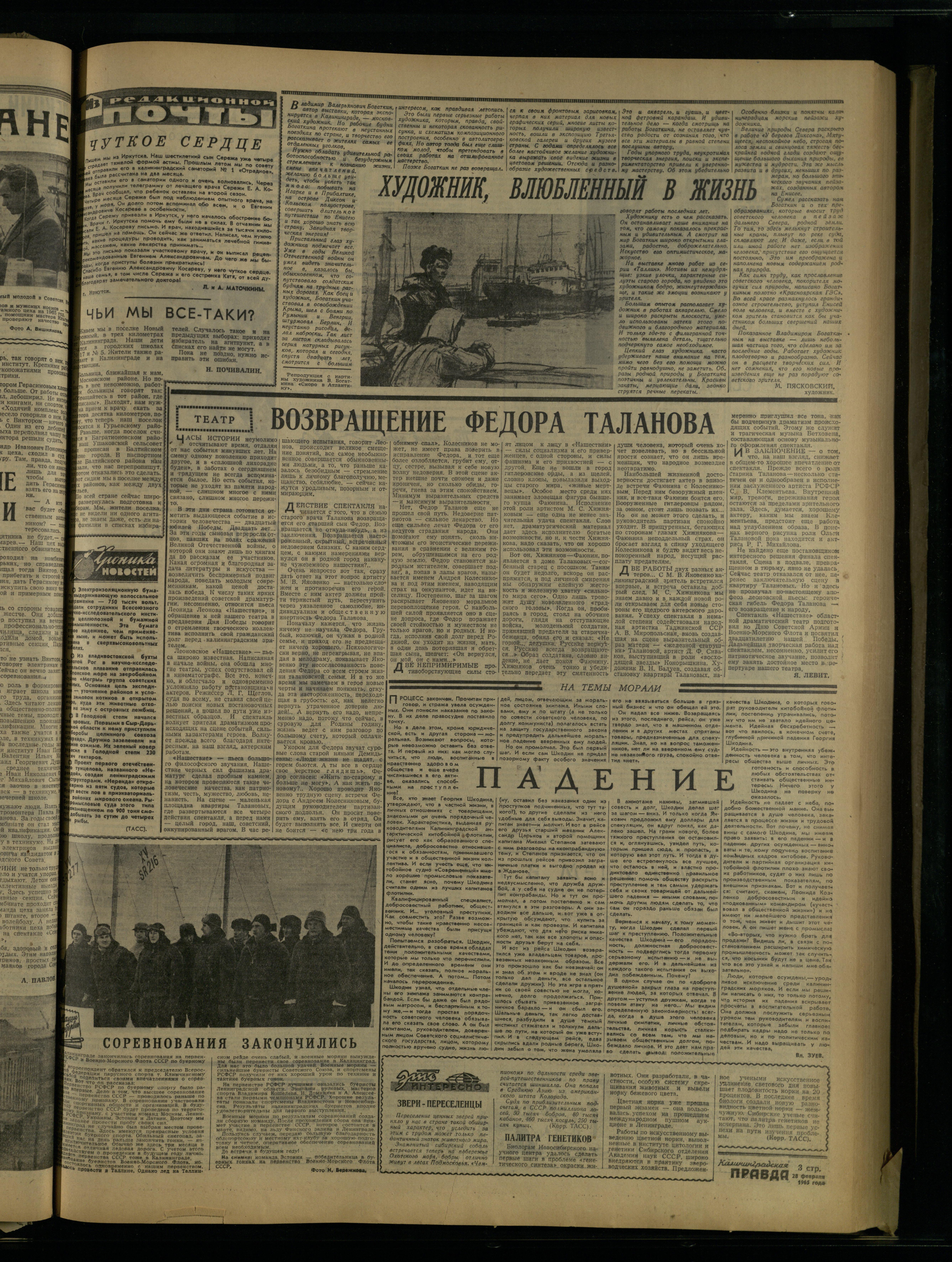 49-2-65-3