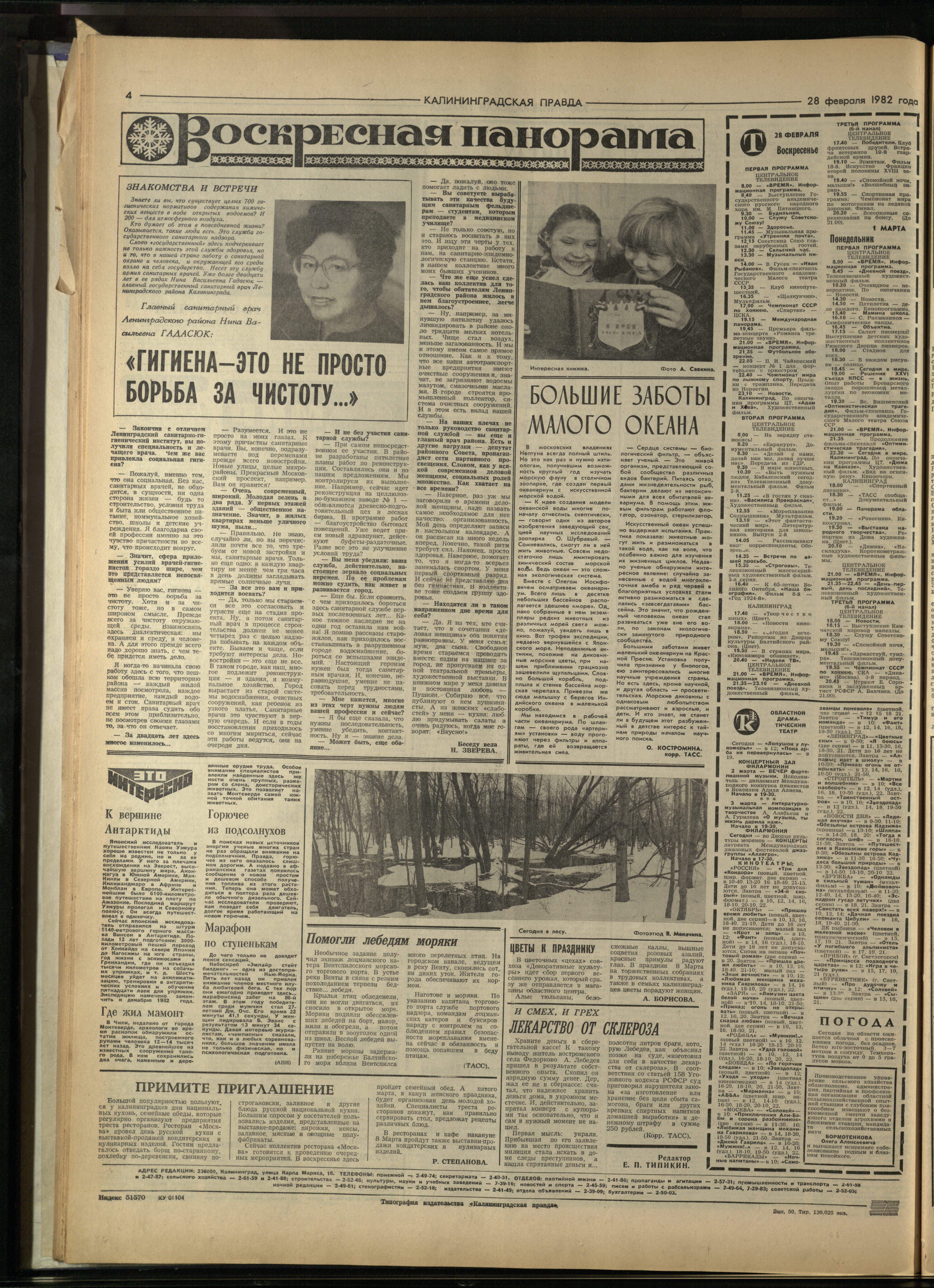50-2-82-4