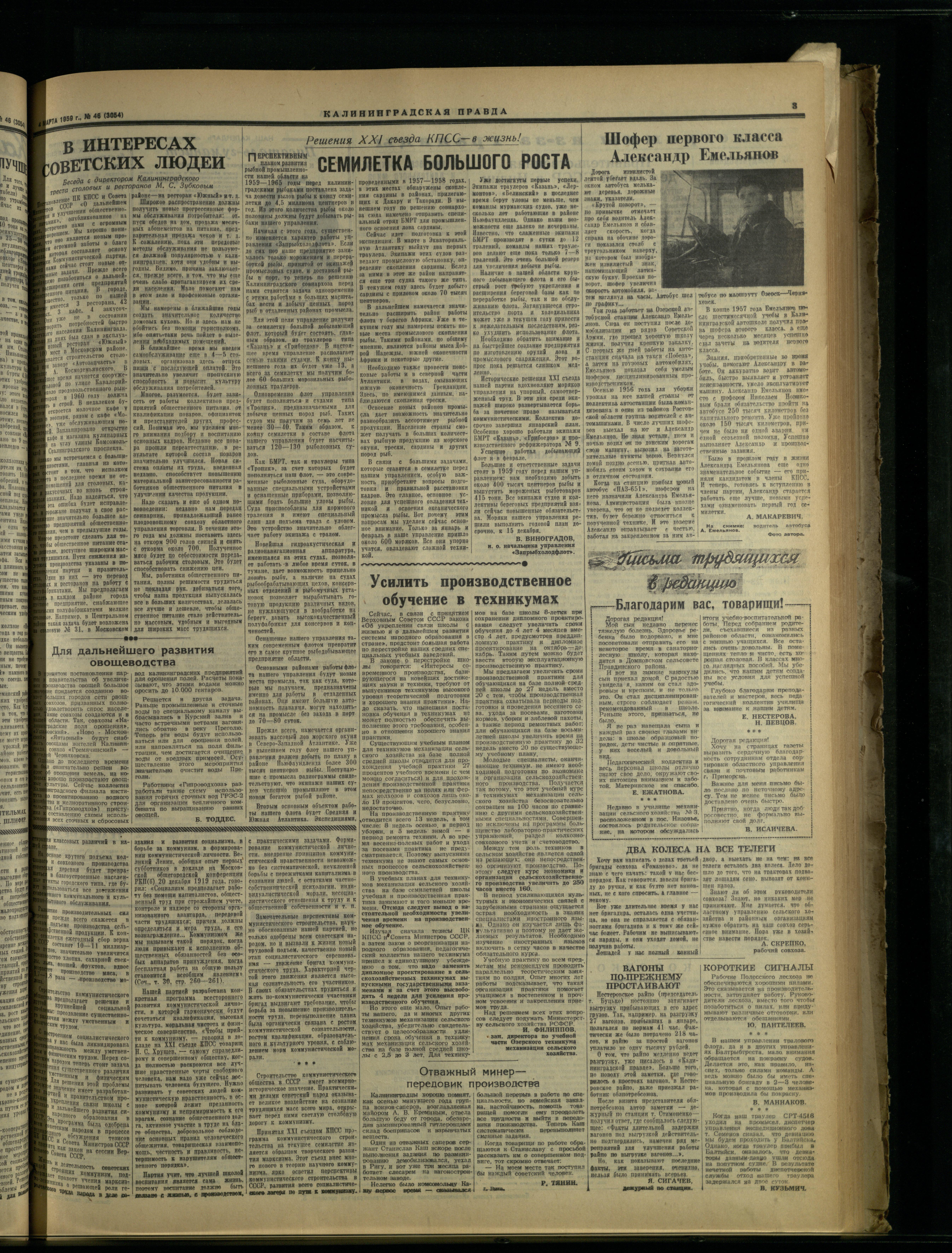 46-3-59-3