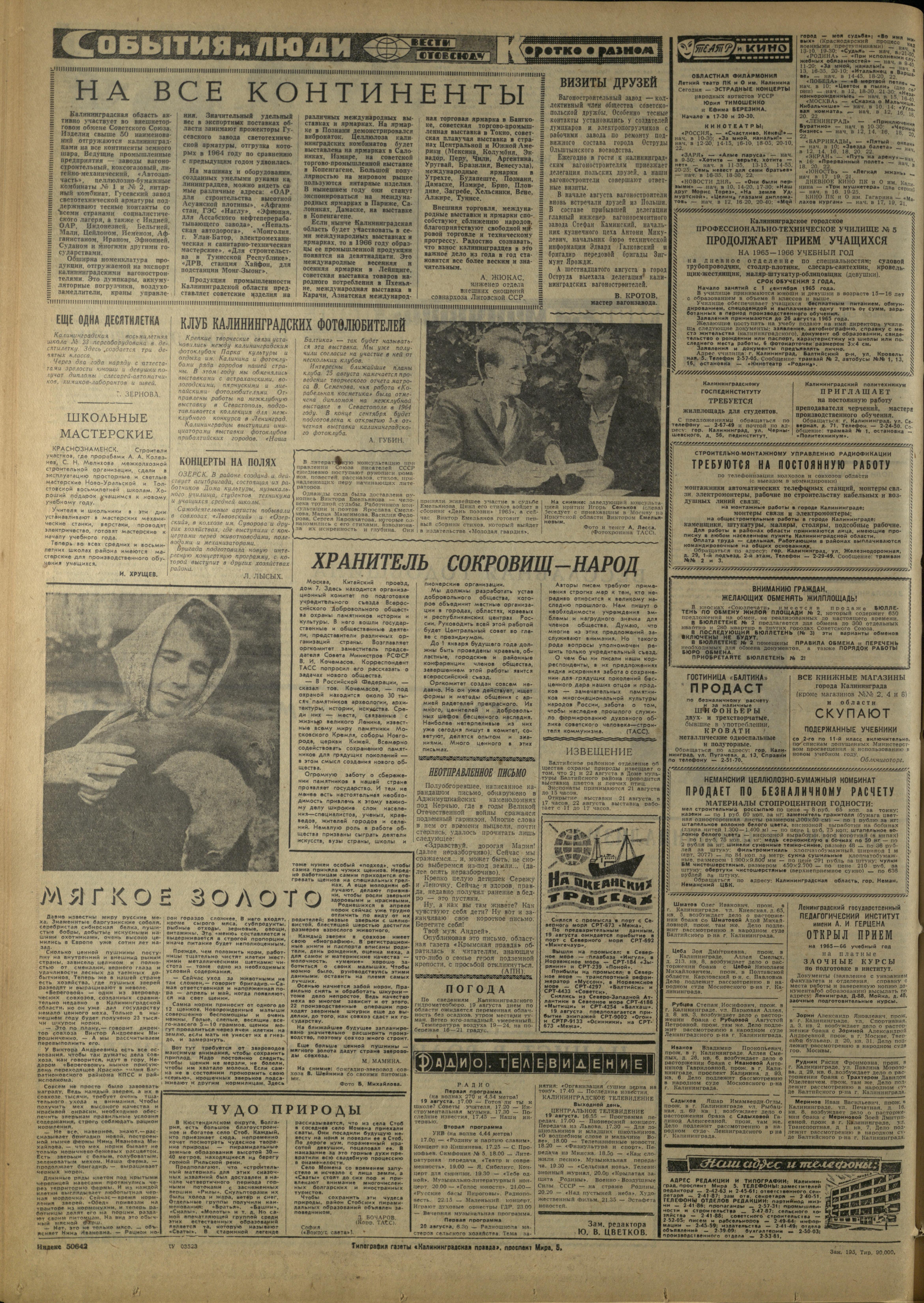 195-8-65-4
