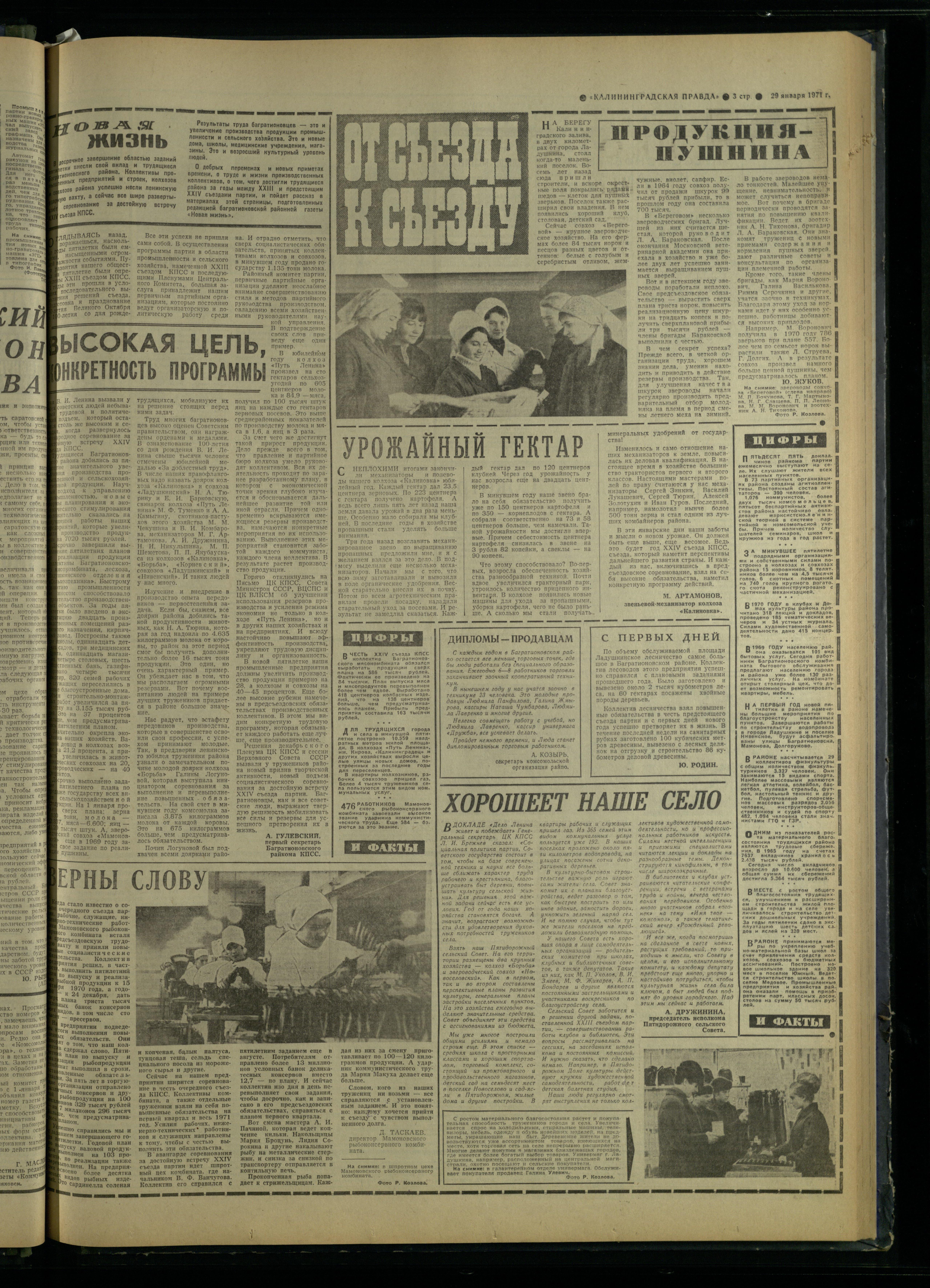 24-1-71-3