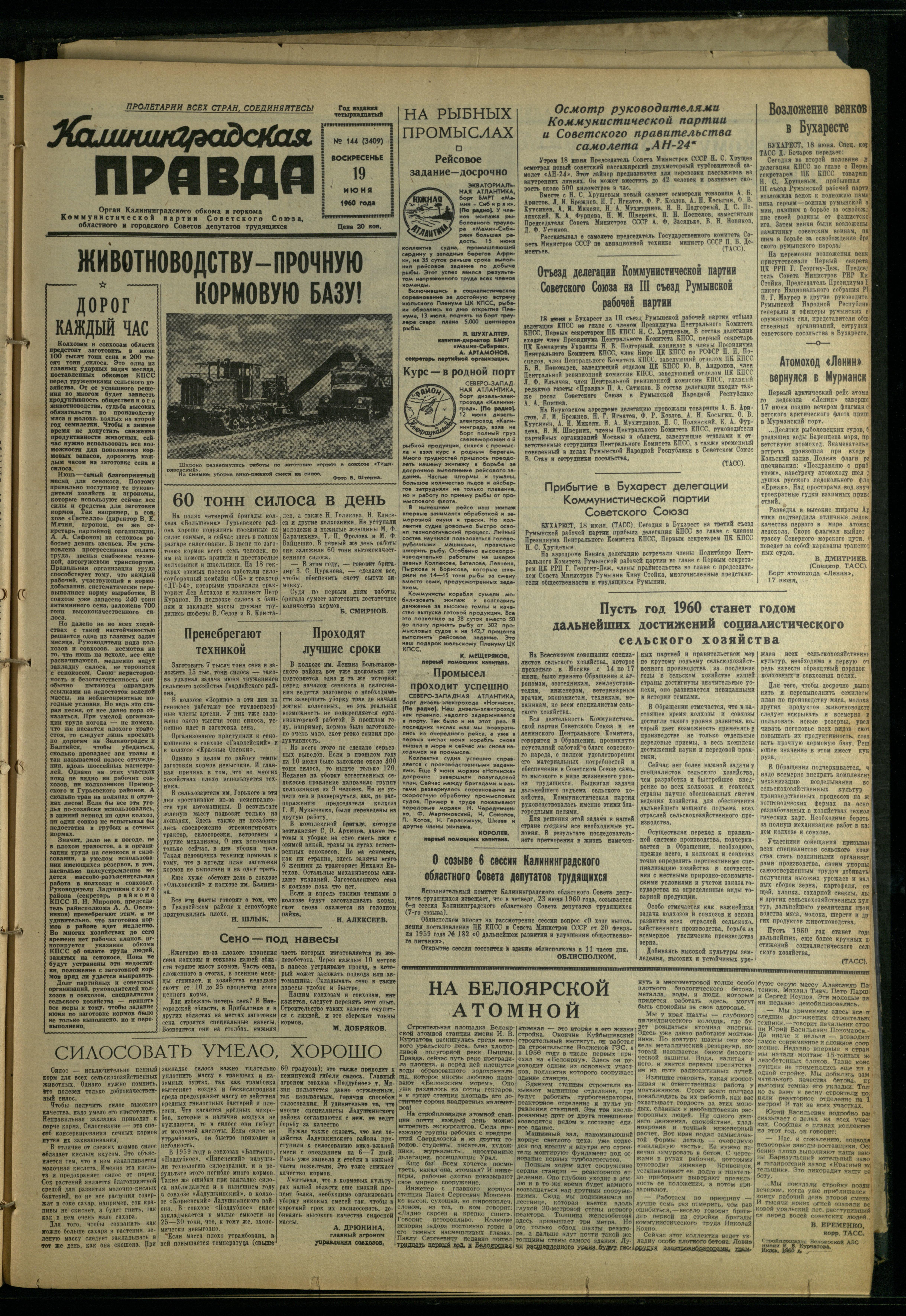 144-6-60-1