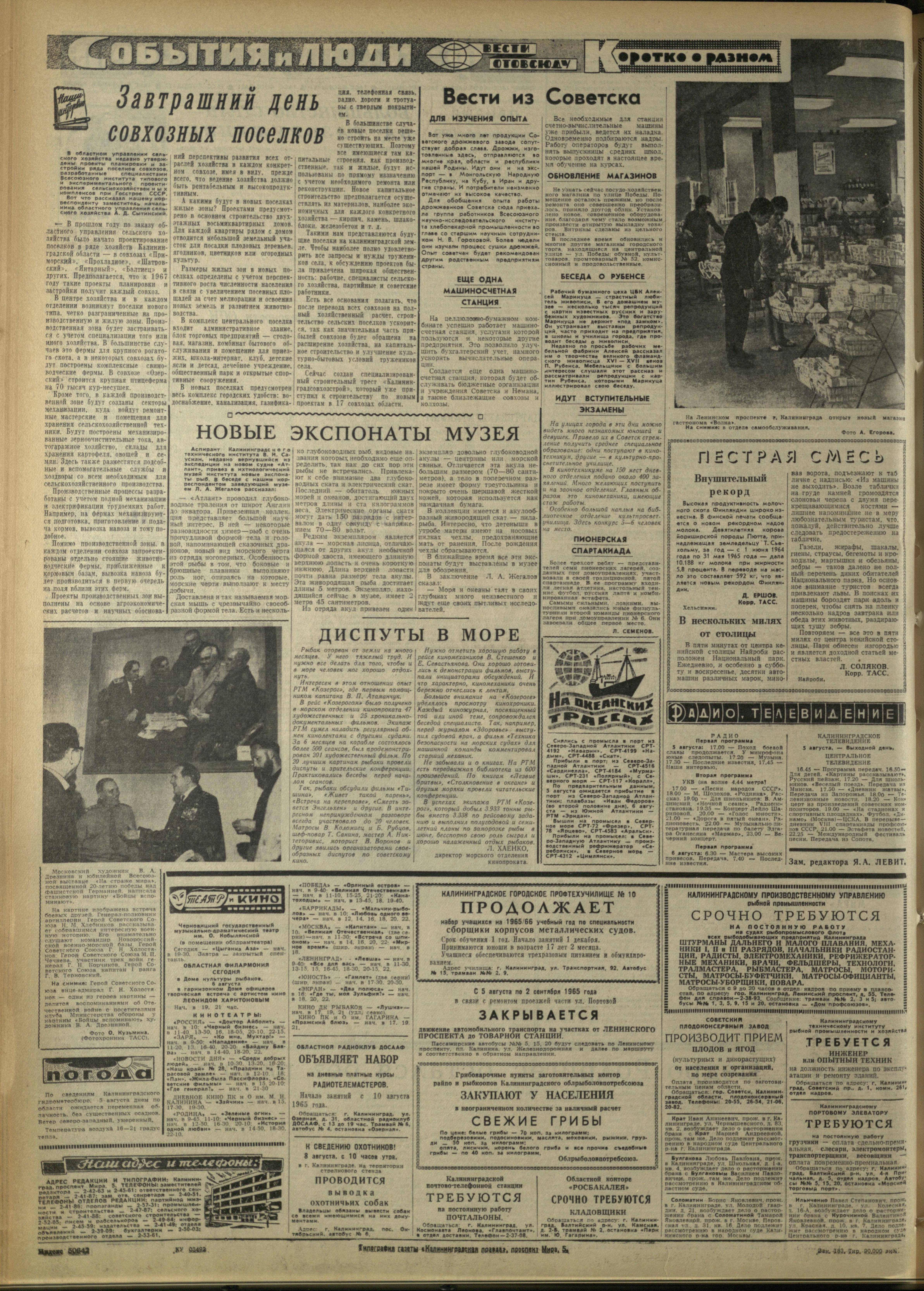 183-8-65-4