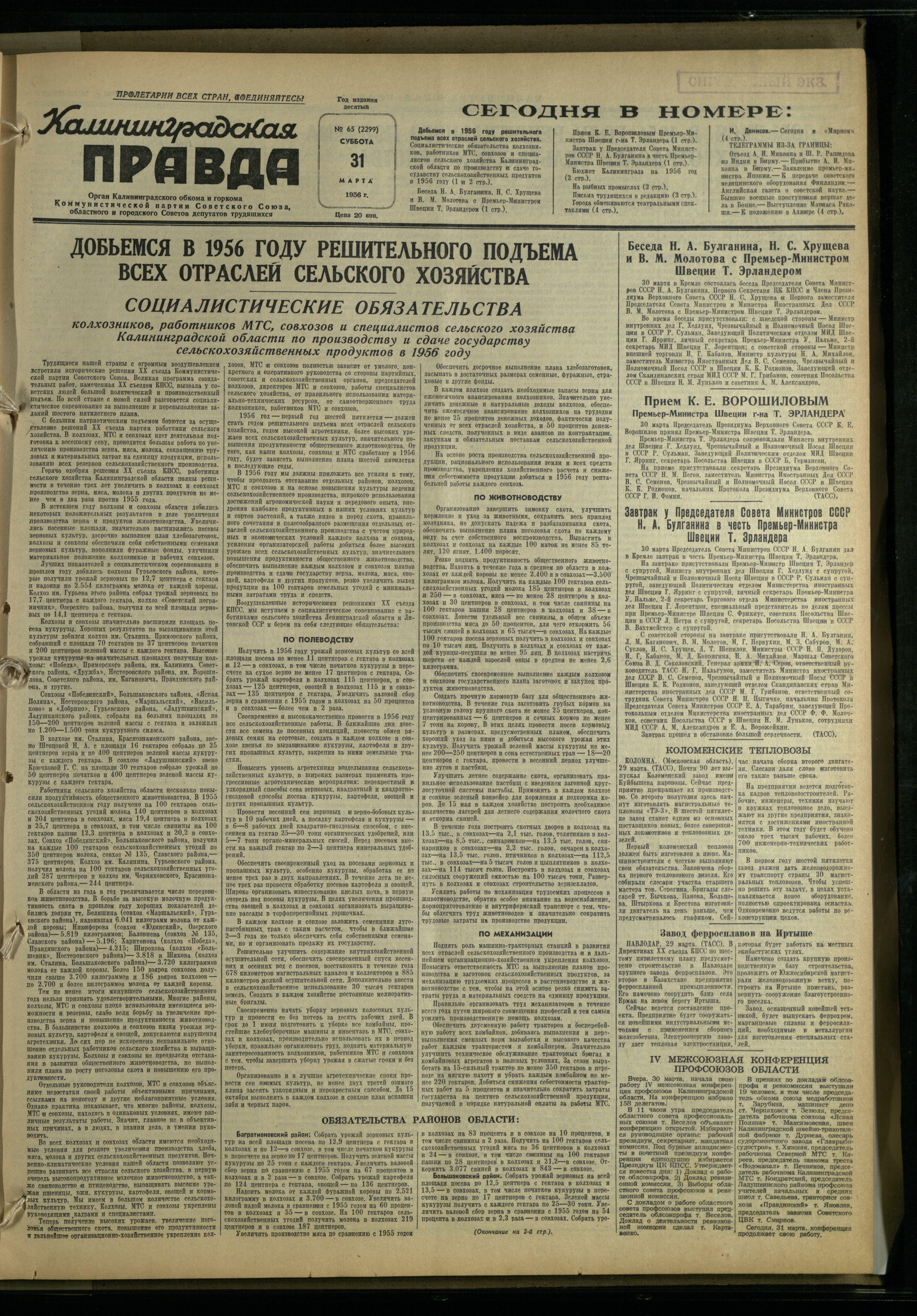 65-3-56-1