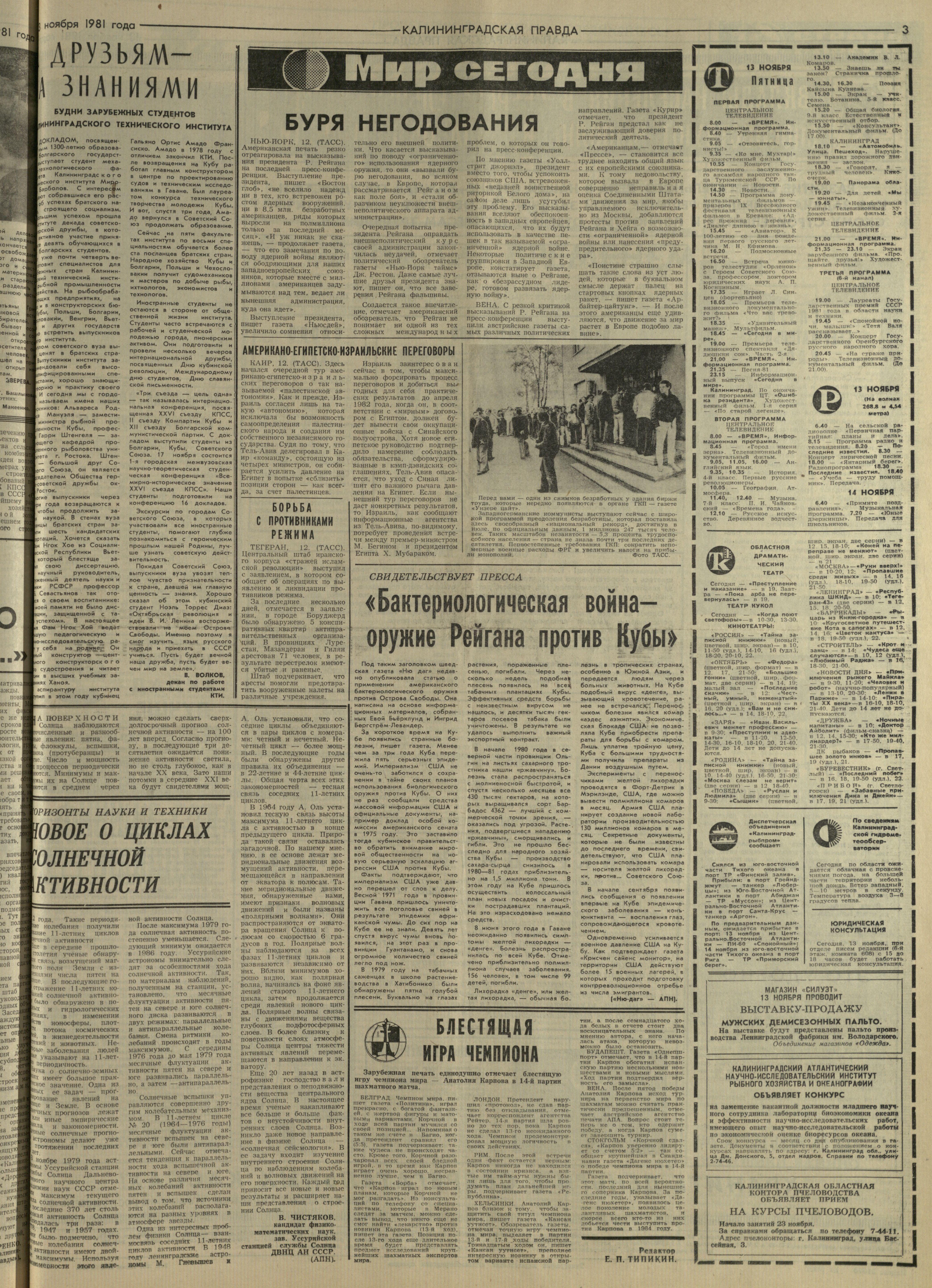 261-11-81-3