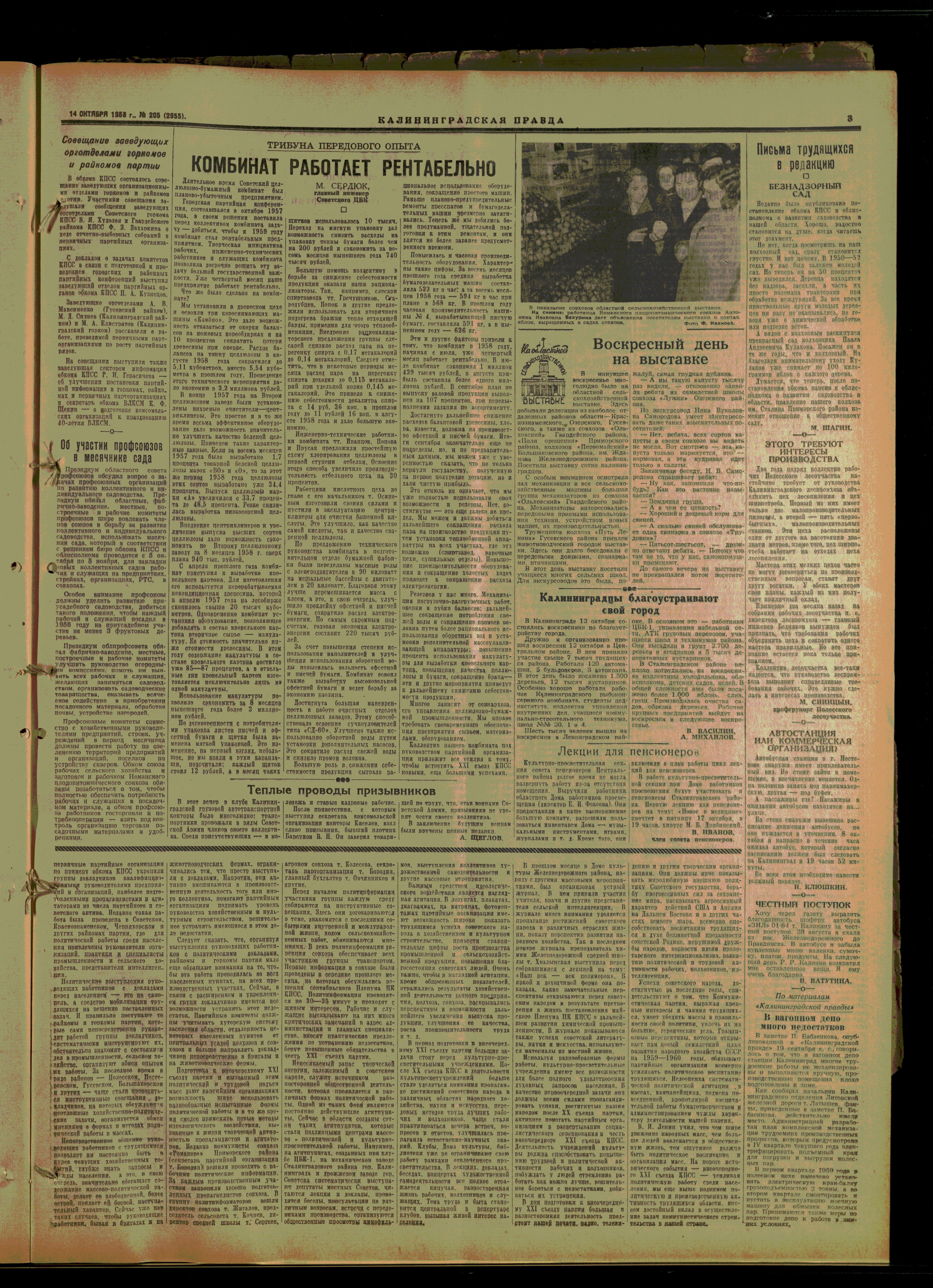205-10-58-3