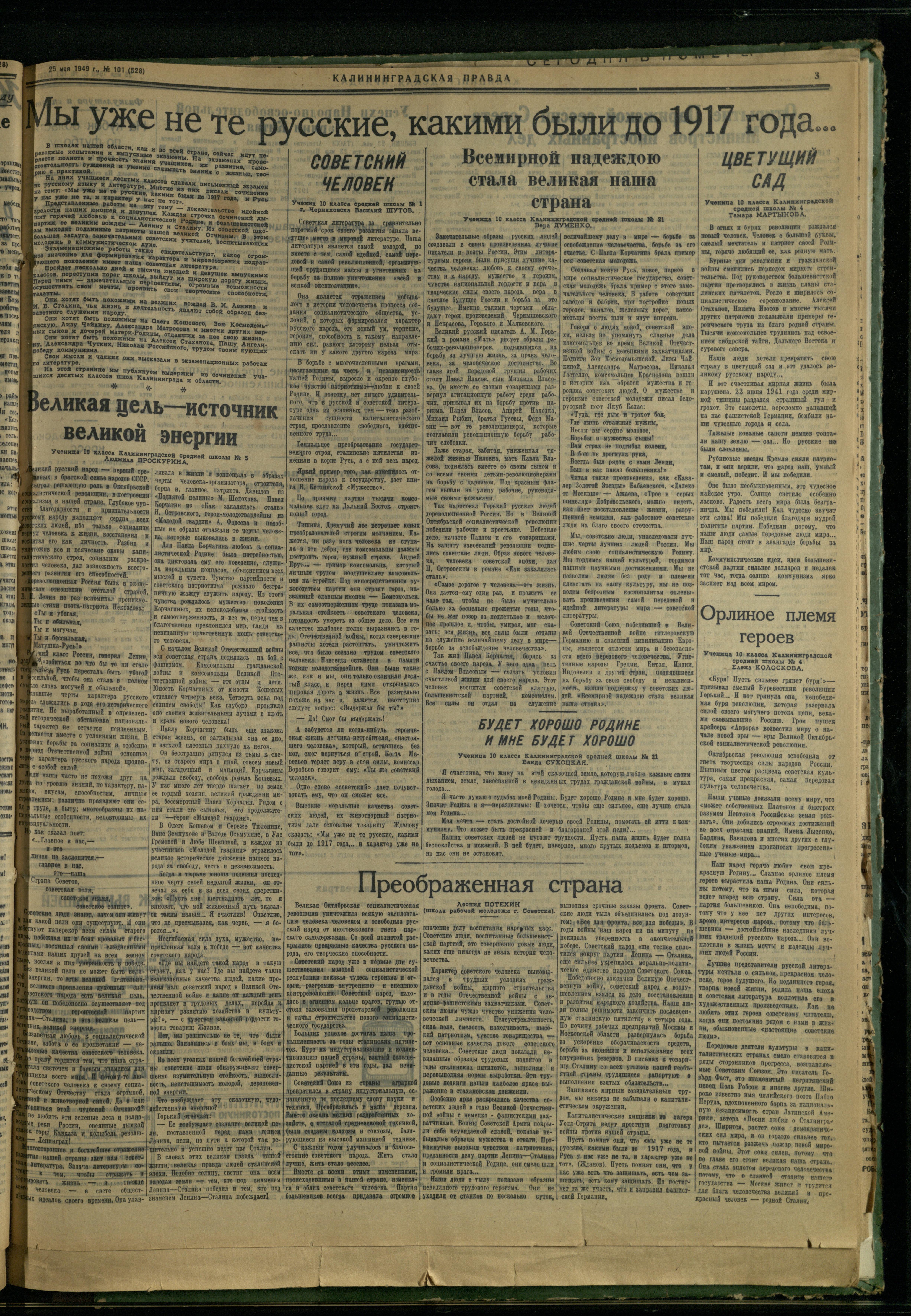 101-5-49-3