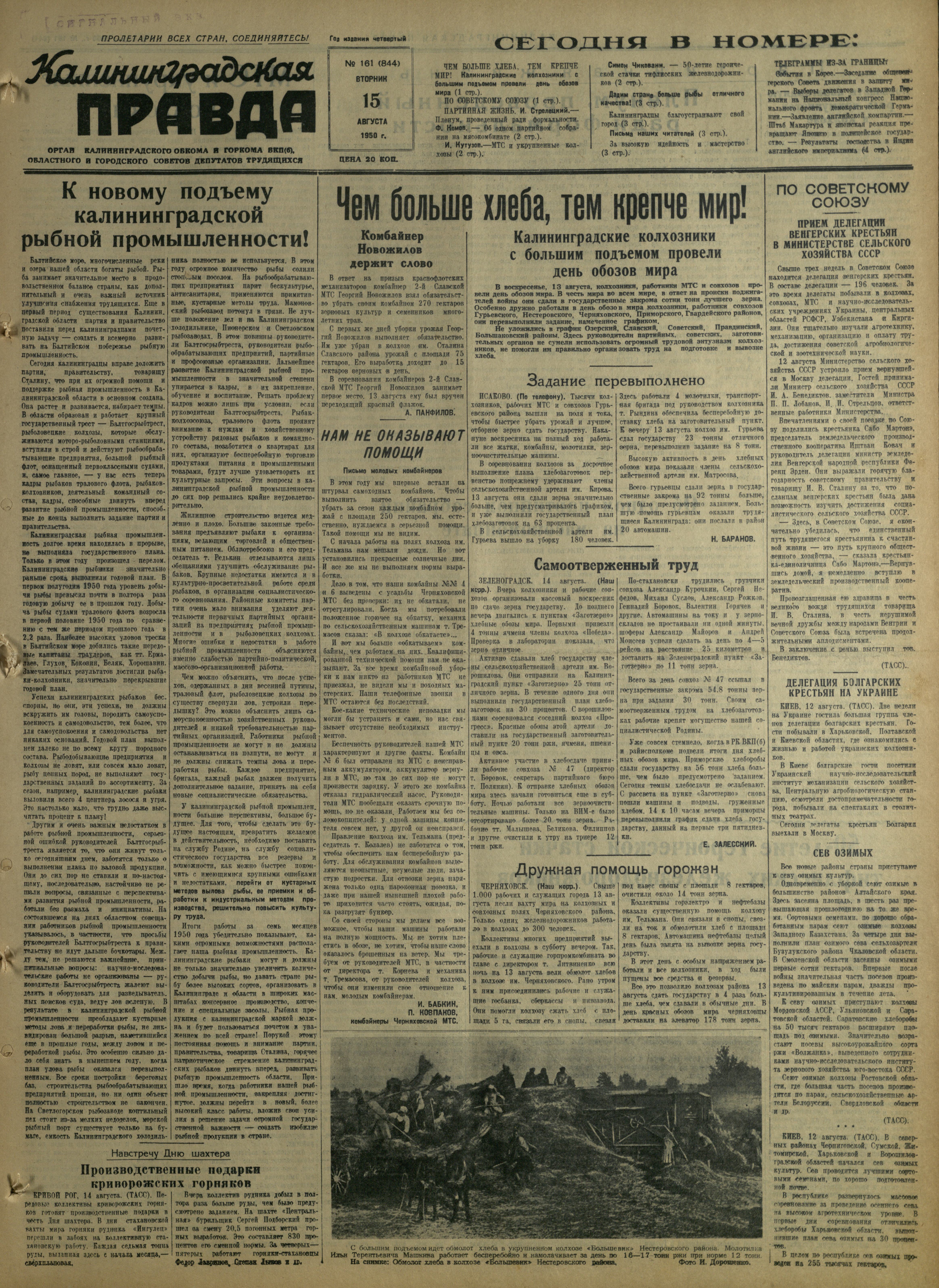 161-8-50-1