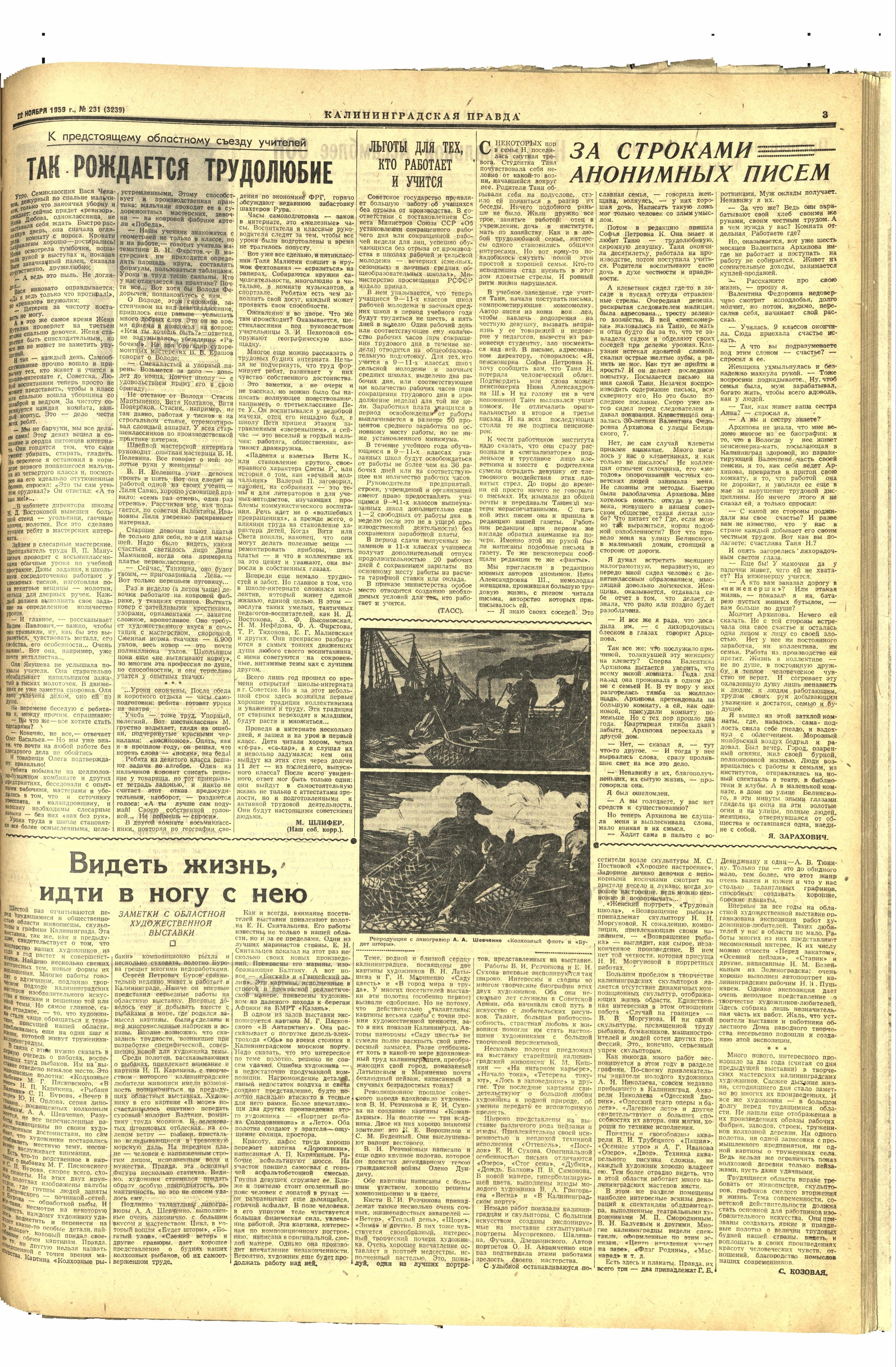 231-11-59-3