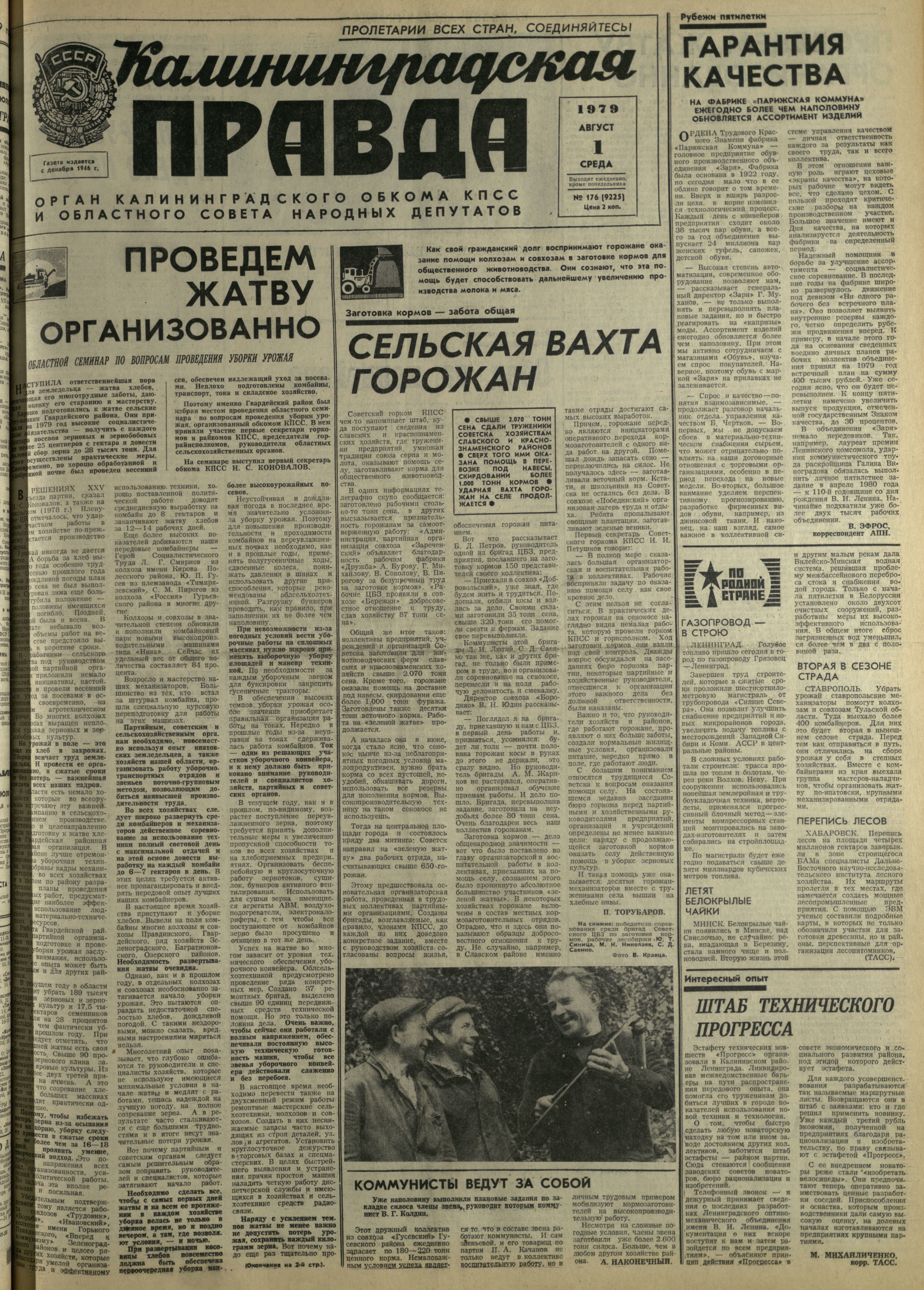 176-8-79-1