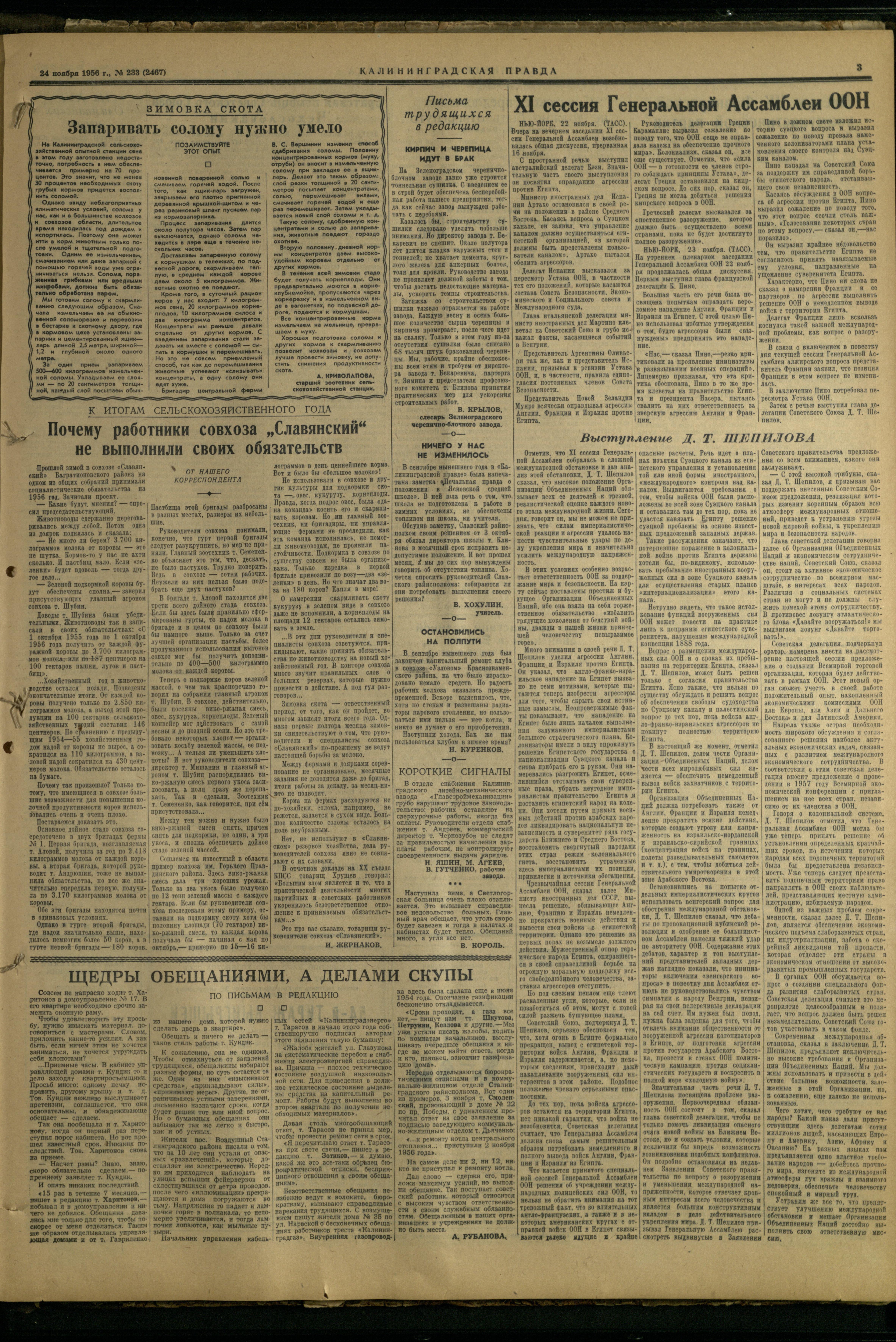 233-11-56-3