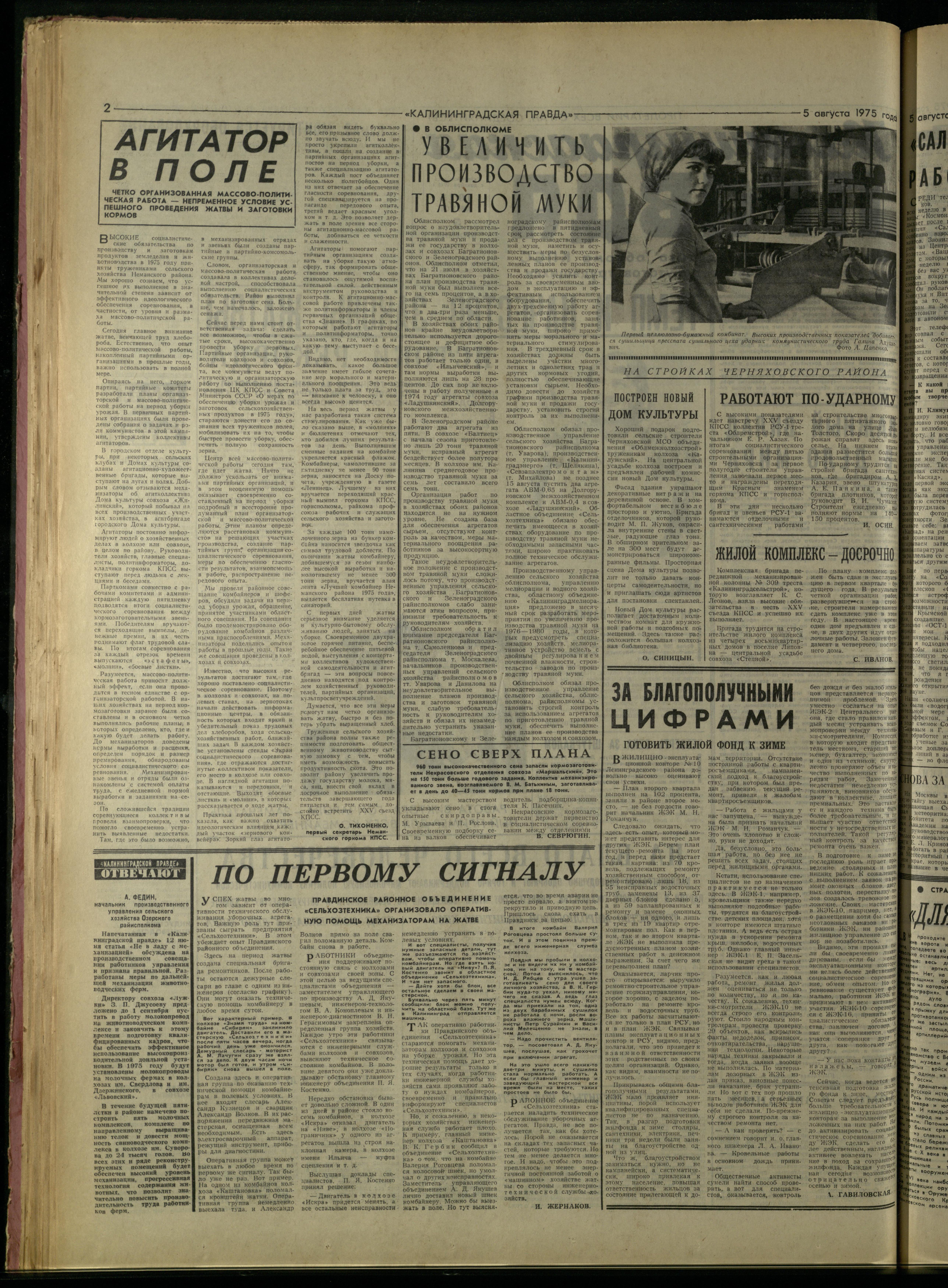 181-8-75-2