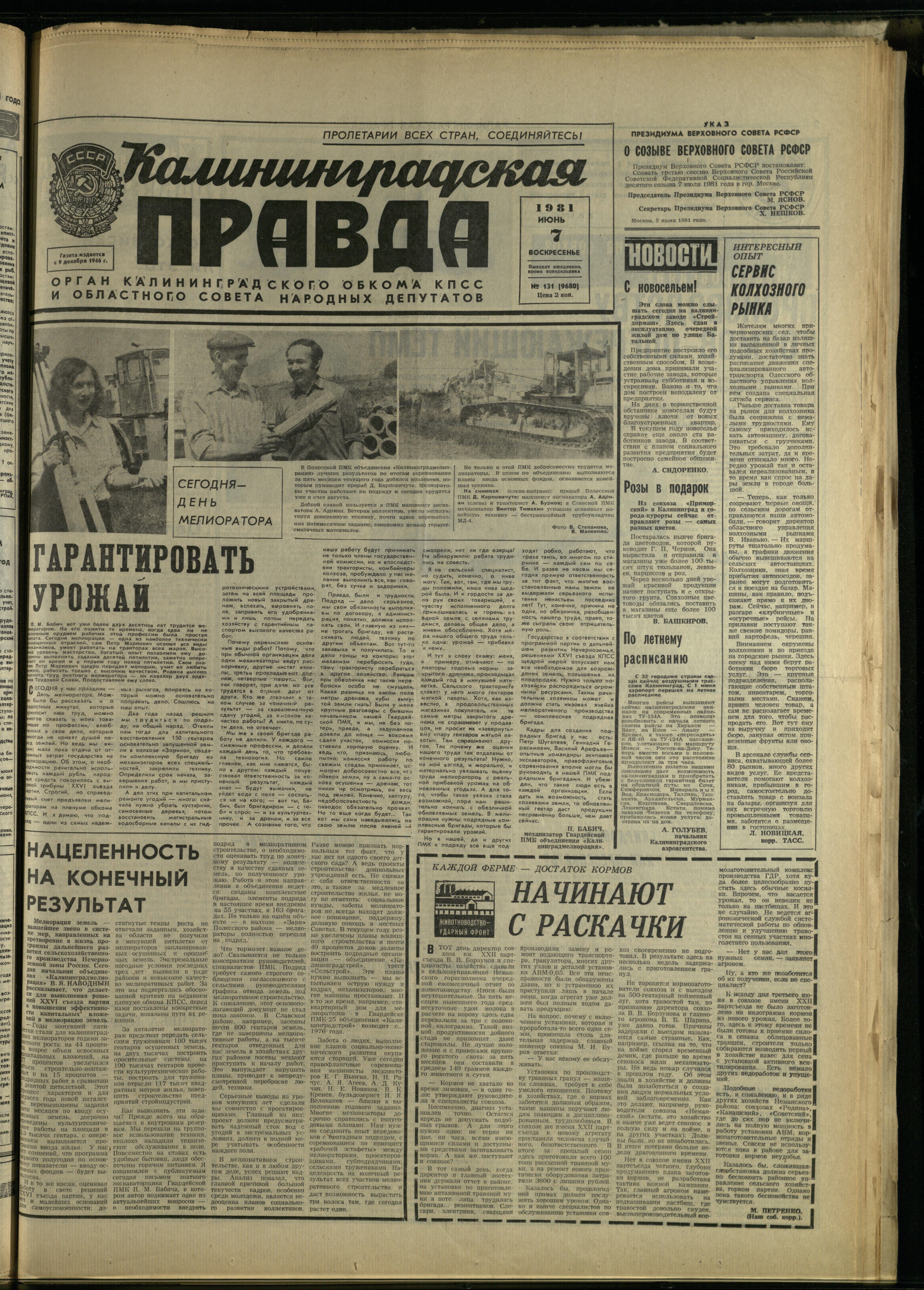 131-6-81-1