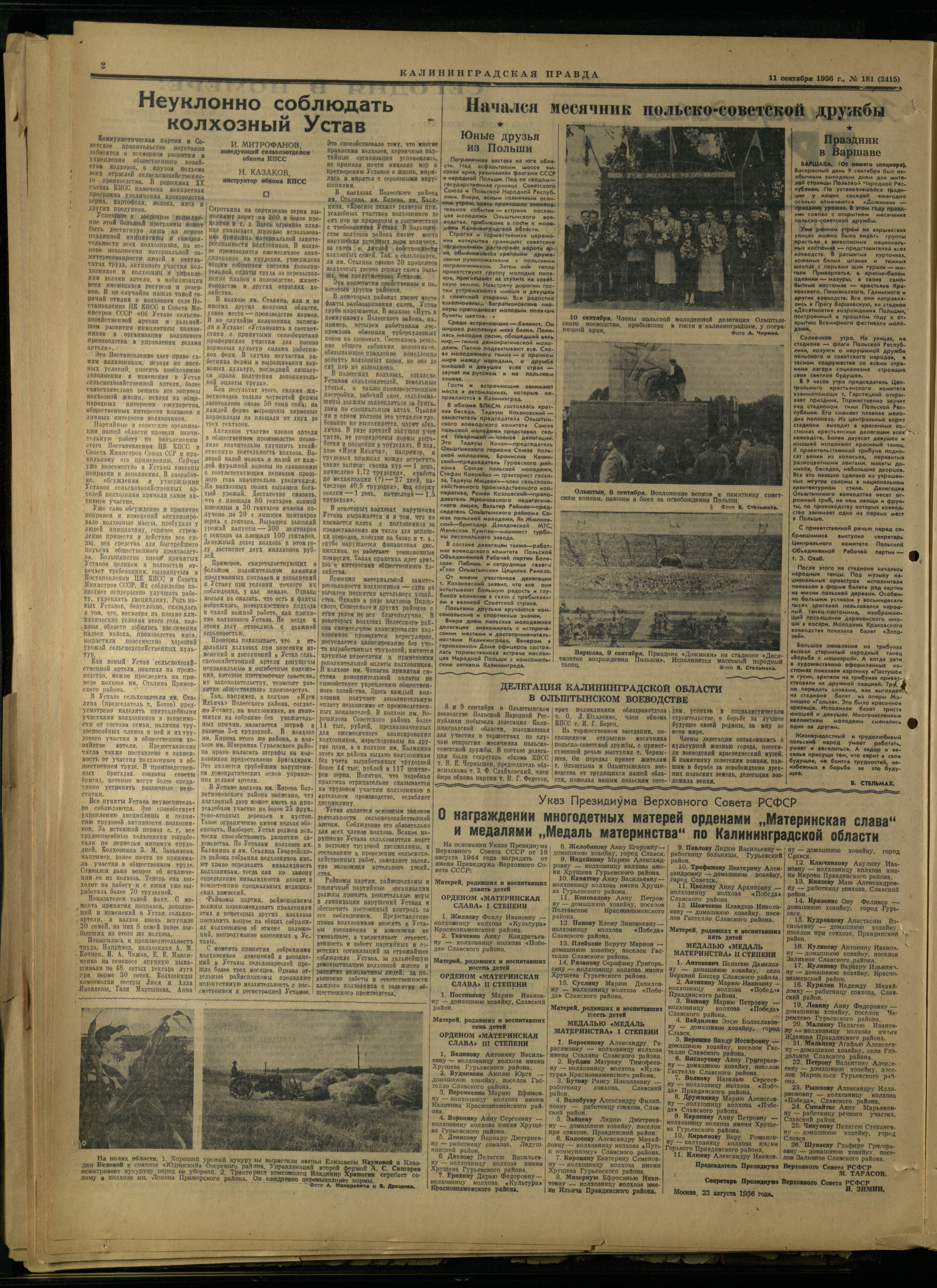 181-9-56-2