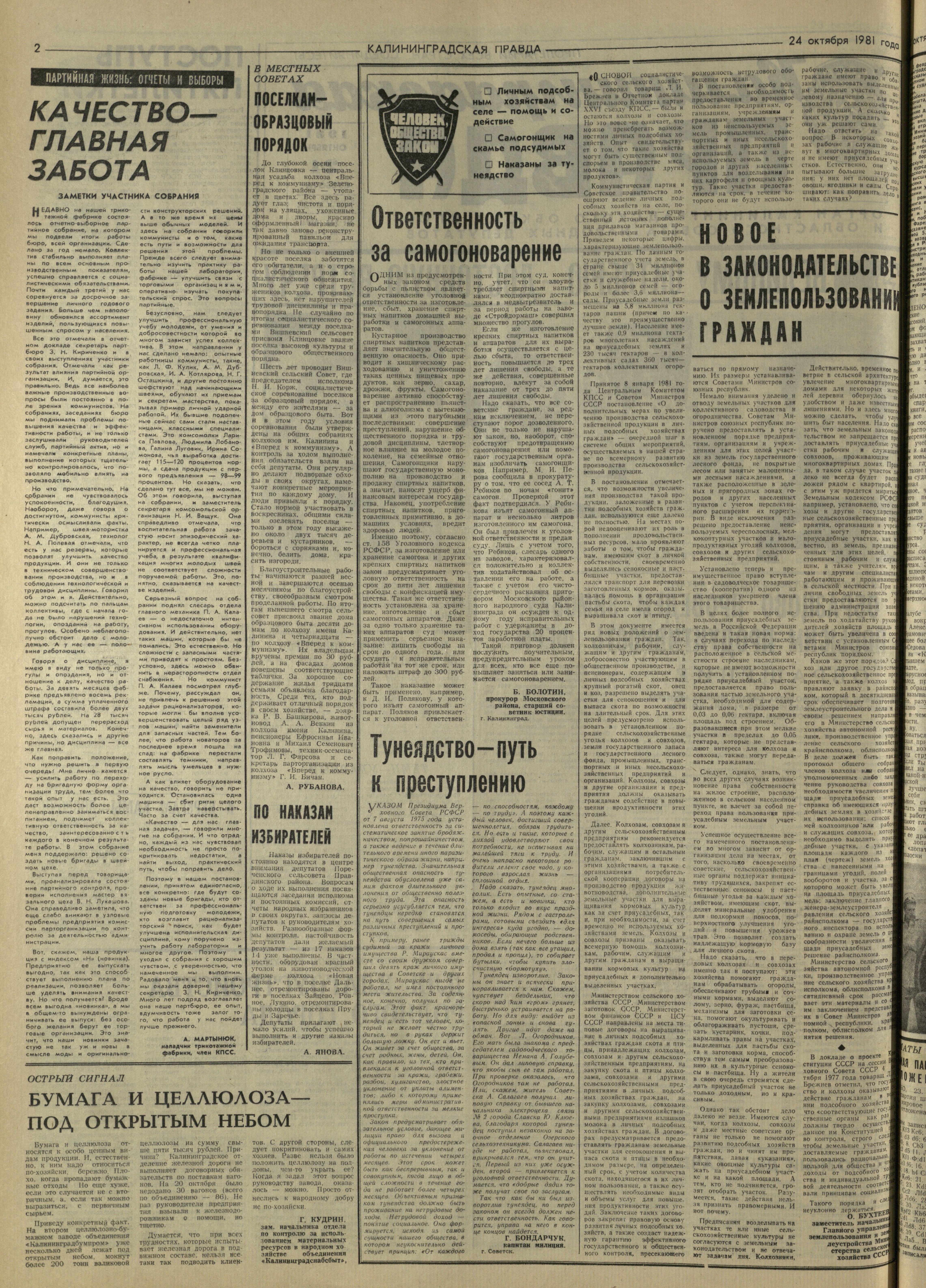 245-10-81-2