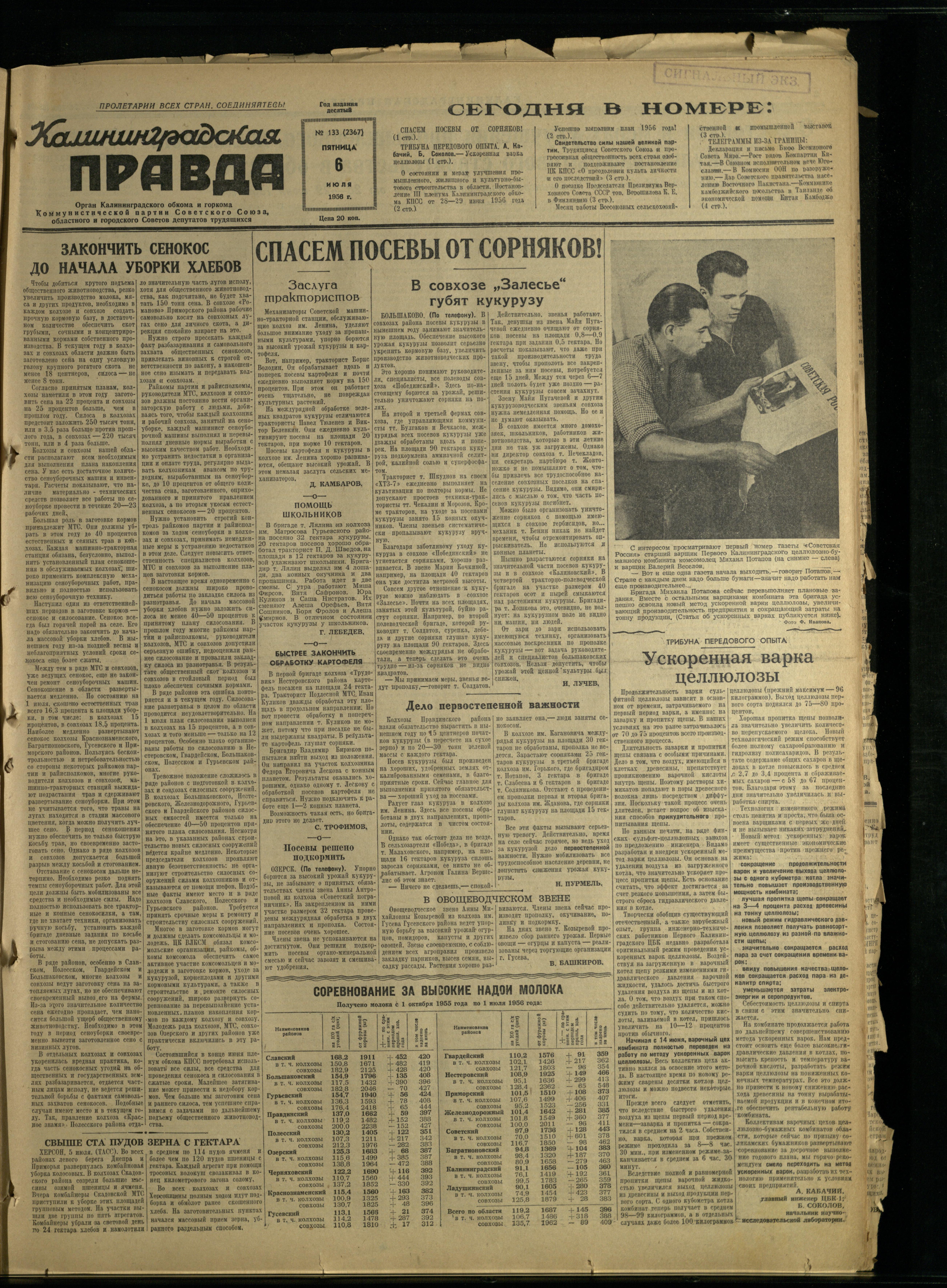 133-7-56-1